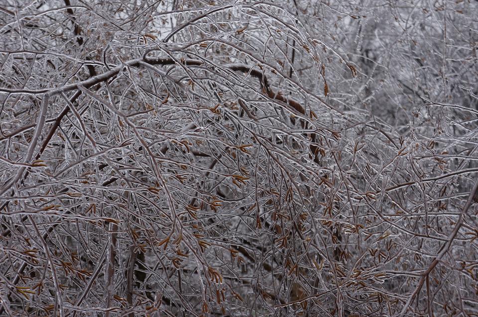 Free download high resolution image - free image free photo free stock image public domain picture  Sunny icicles background