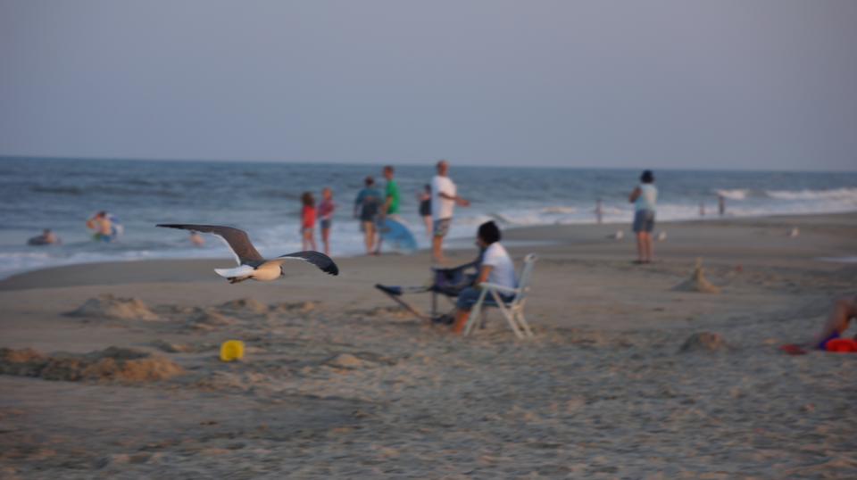 Free download high resolution image - free image free photo free stock image public domain picture  Chincoteague,Island Virginia