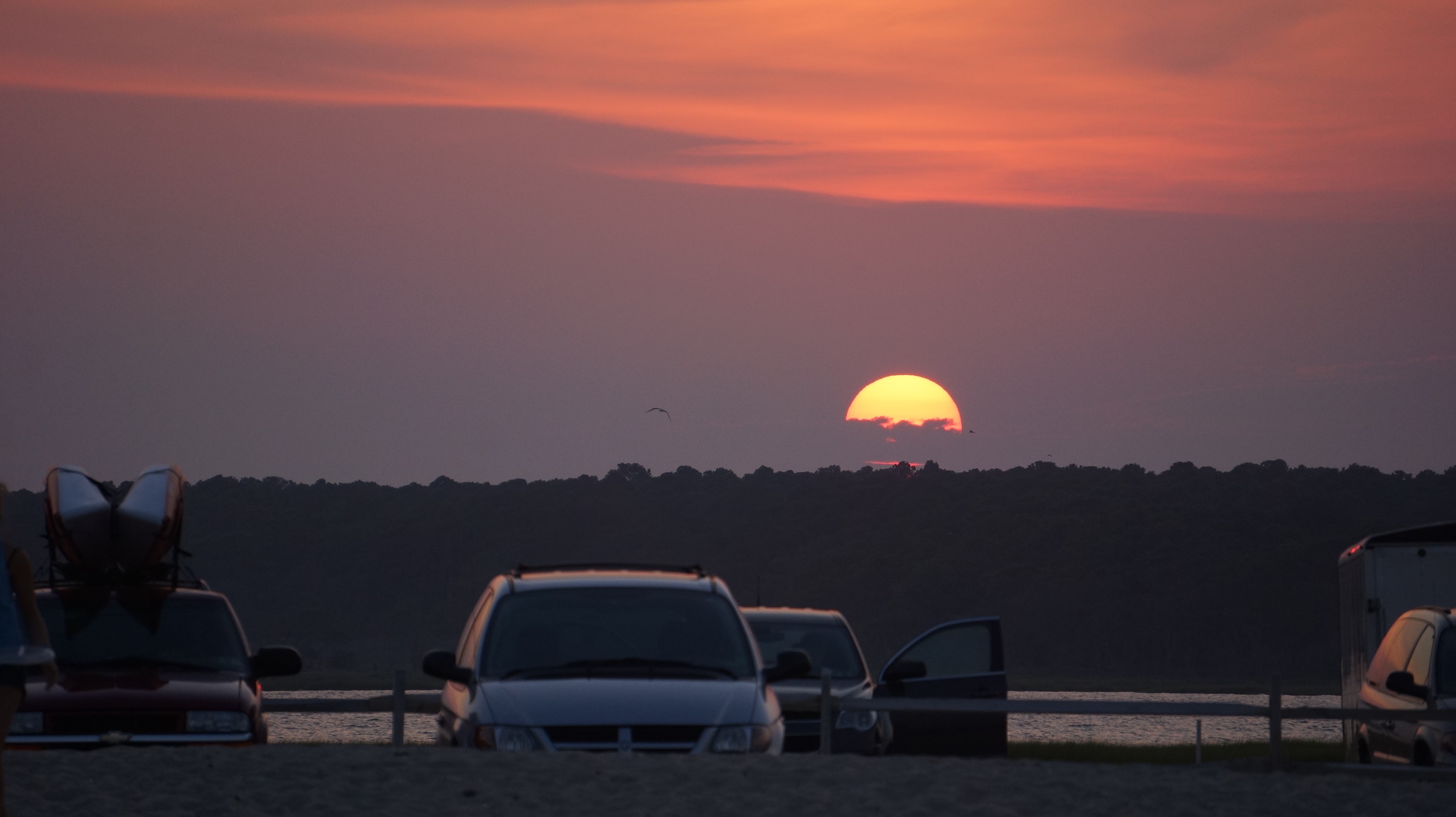 Free download high resolution image - free image free photo free stock image public domain picture -Chincoteague,Island Virginia