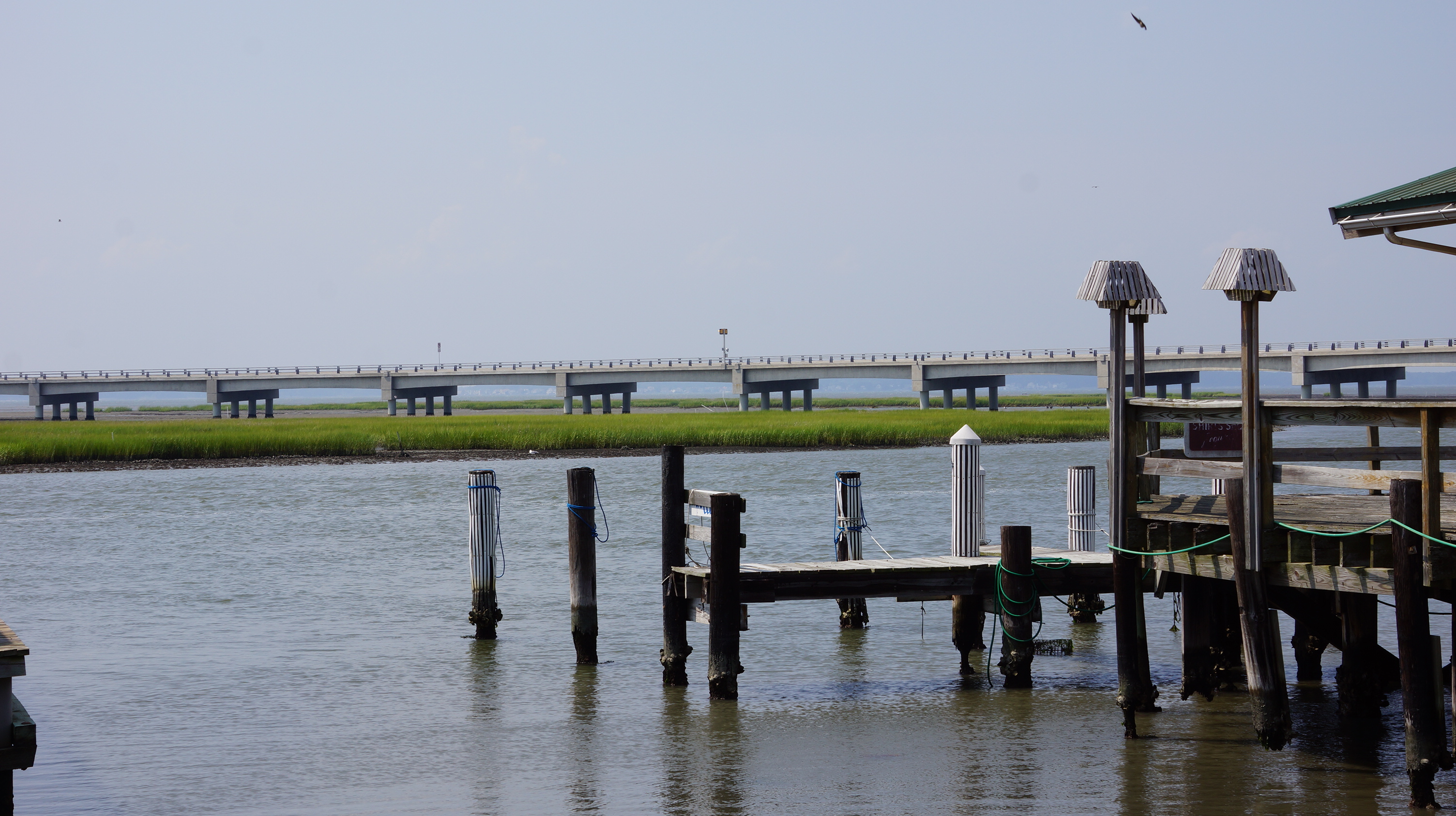 Free download high resolution image - free image free photo free stock image public domain picture -Chincoteague,Island Virginia