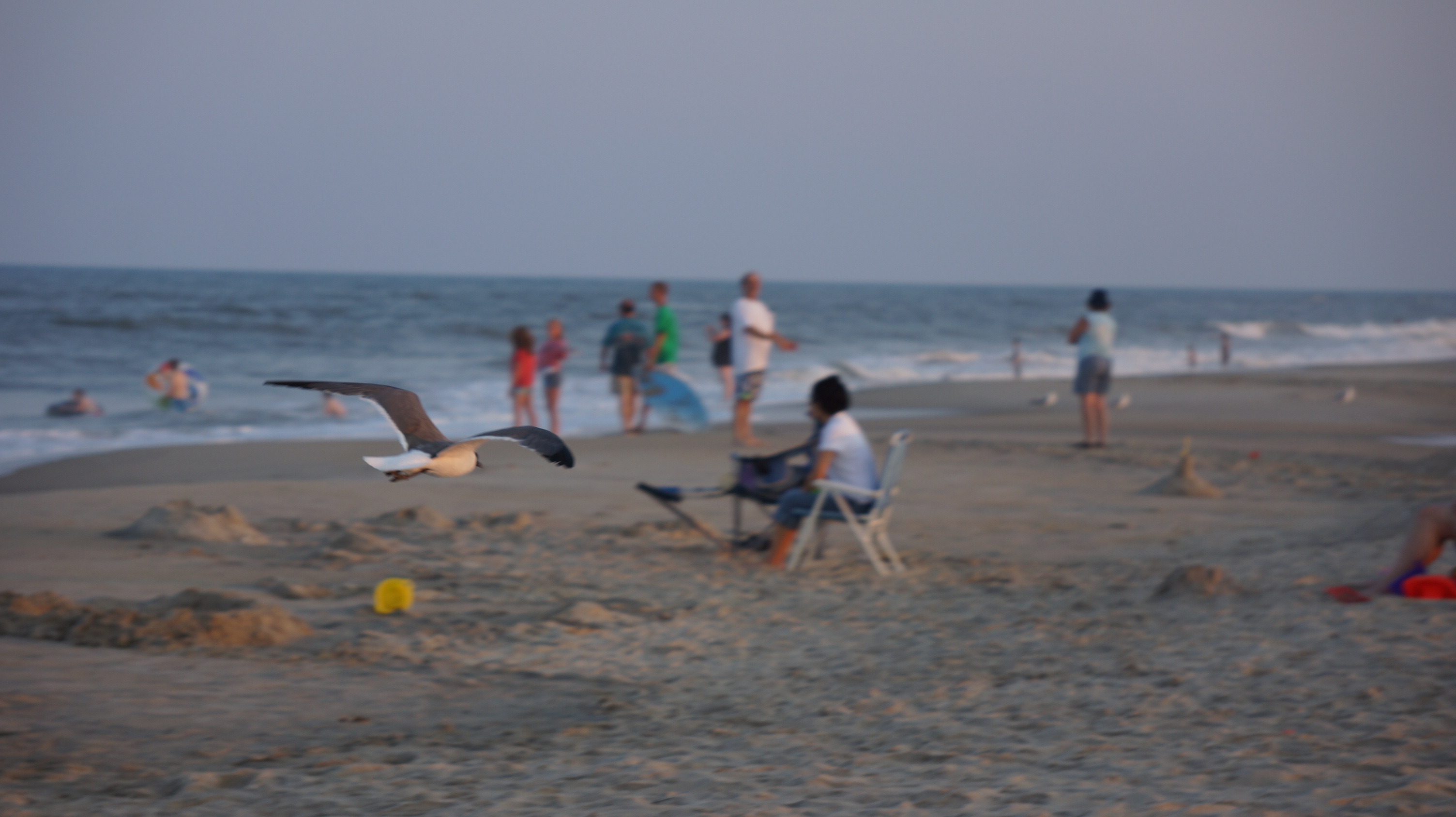 Free download high resolution image - free image free photo free stock image public domain picture -Chincoteague,Island Virginia