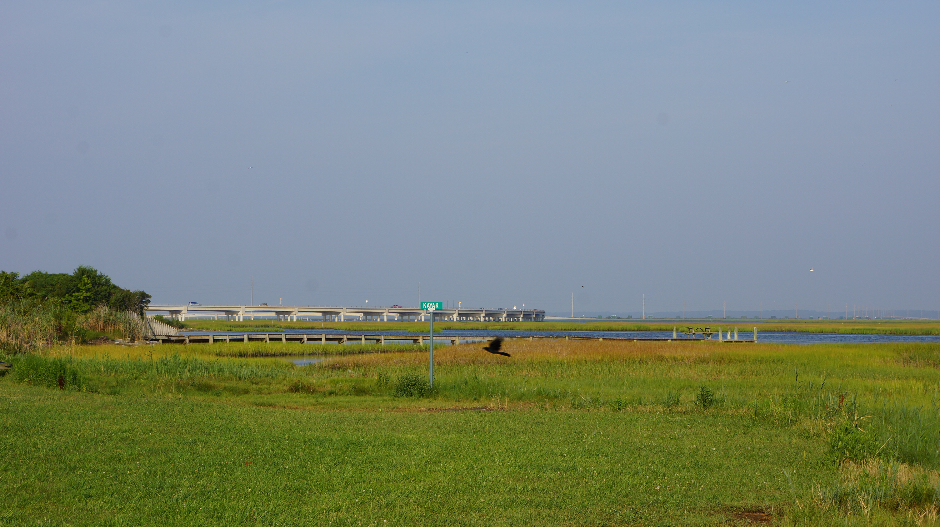 Free download high resolution image - free image free photo free stock image public domain picture -Chincoteague,Island Virginia