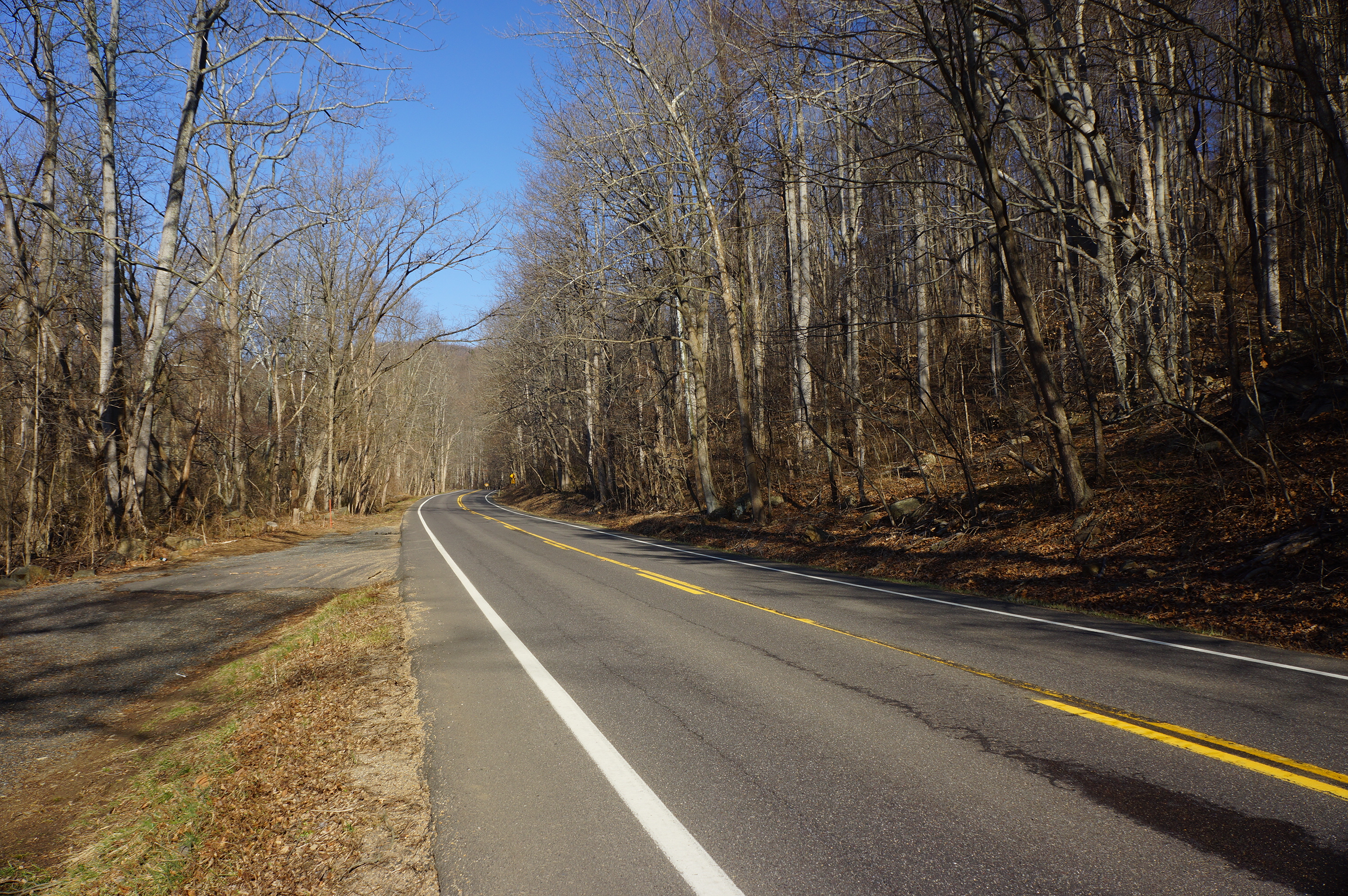 Free download high resolution image - free image free photo free stock image public domain picture -Buck Hollow/Buck Ridge Loop Trail in Shenandoah