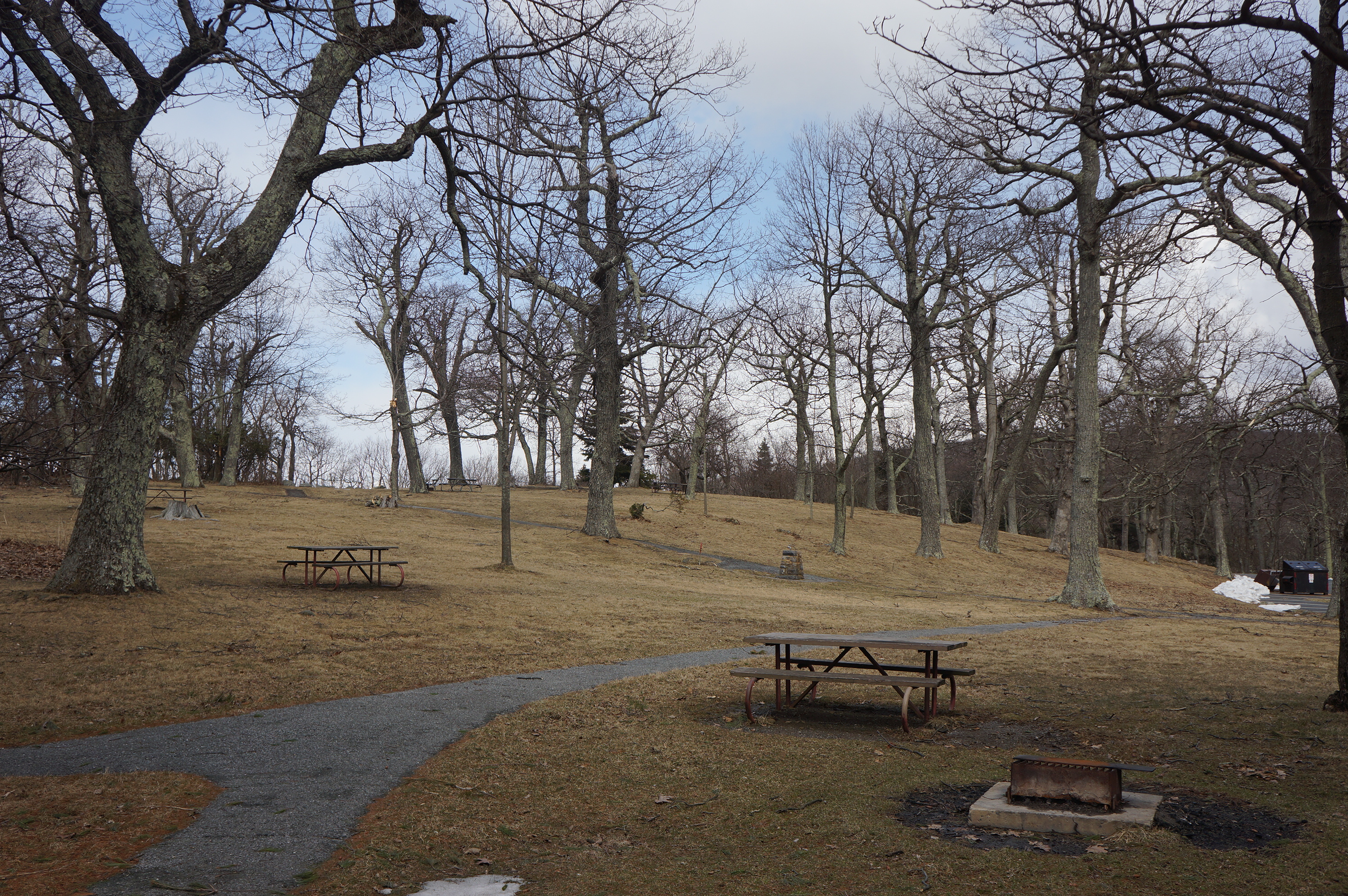 Free download high resolution image - free image free photo free stock image public domain picture -Picnic Grounds - Shenandoah National Park