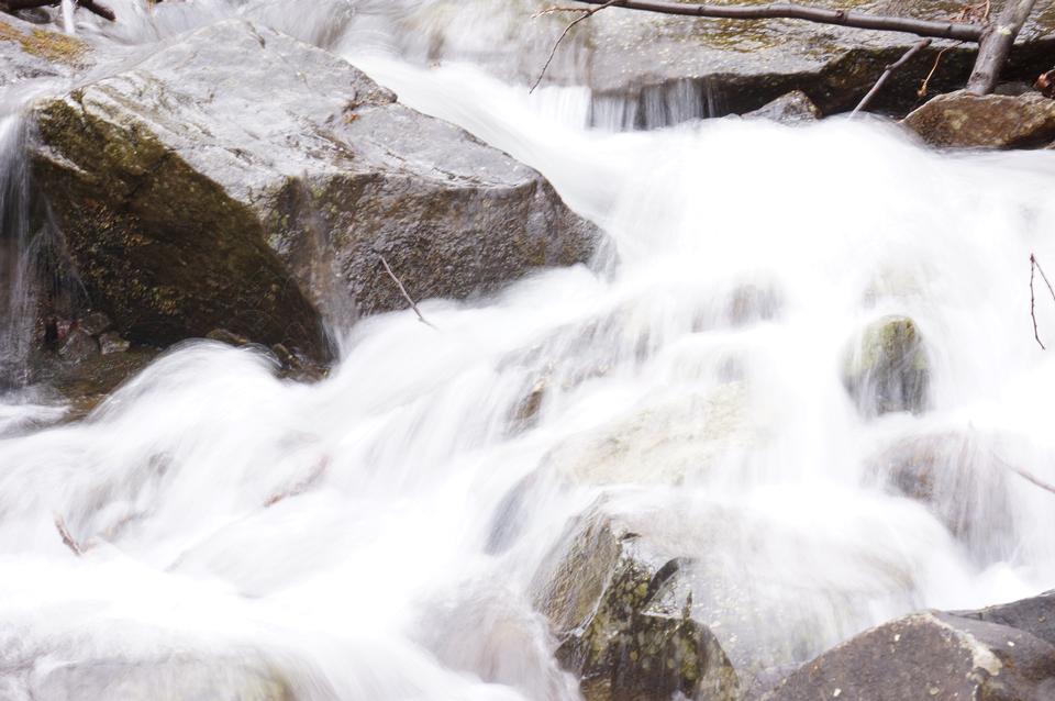 Free download high resolution image - free image free photo free stock image public domain picture  Buck Hollow/Buck Ridge Loop Trail in Shenandoah