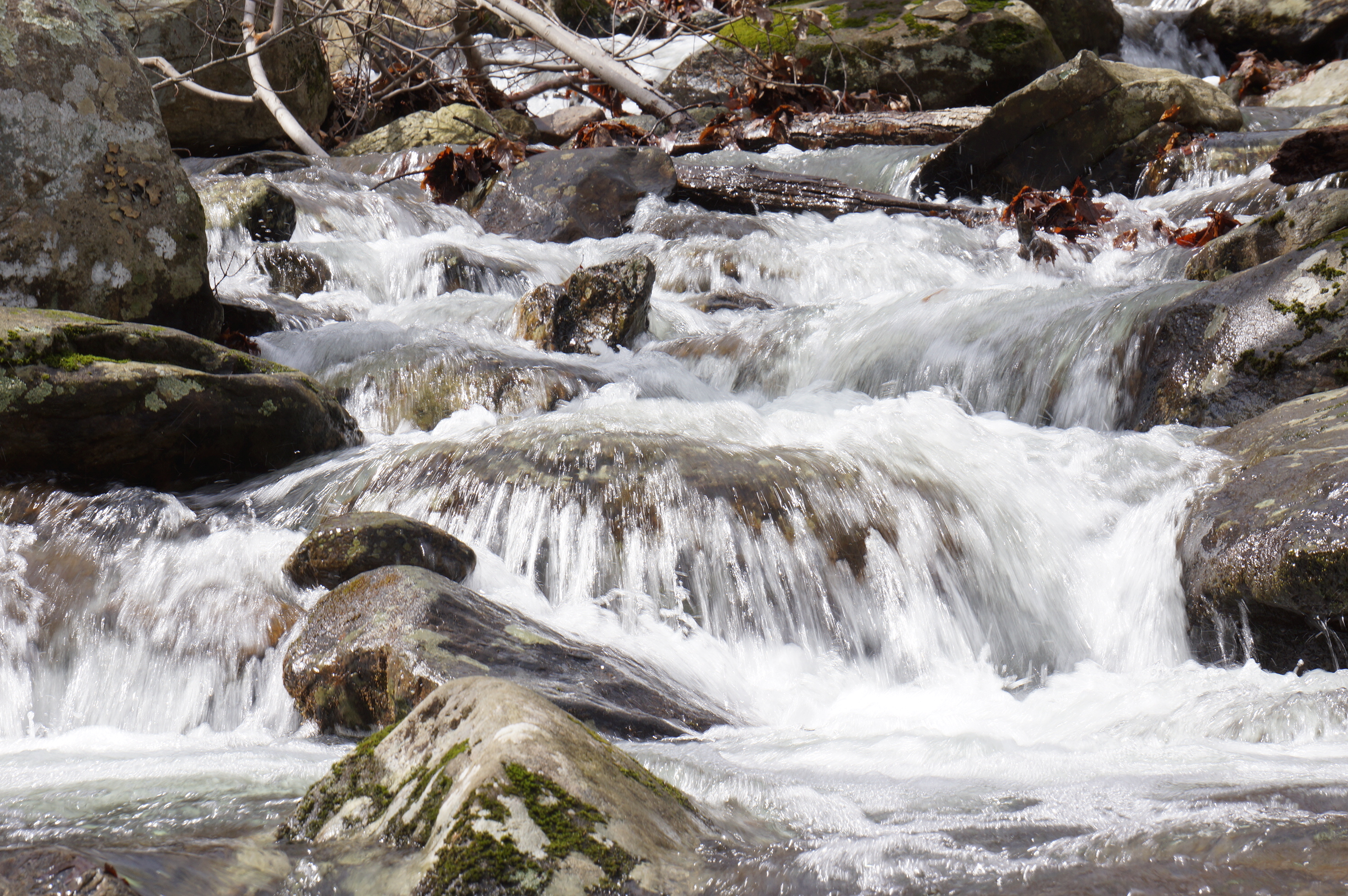 Free download high resolution image - free image free photo free stock image public domain picture -Buck Hollow/Buck Ridge Loop Trail in Shenandoah