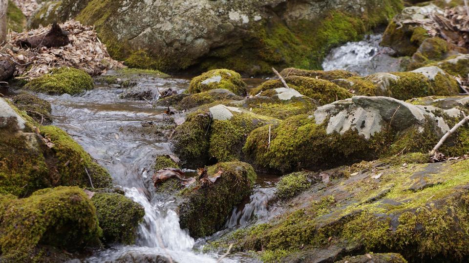 Free download high resolution image - free image free photo free stock image public domain picture  Old Rag in the Shenandoah