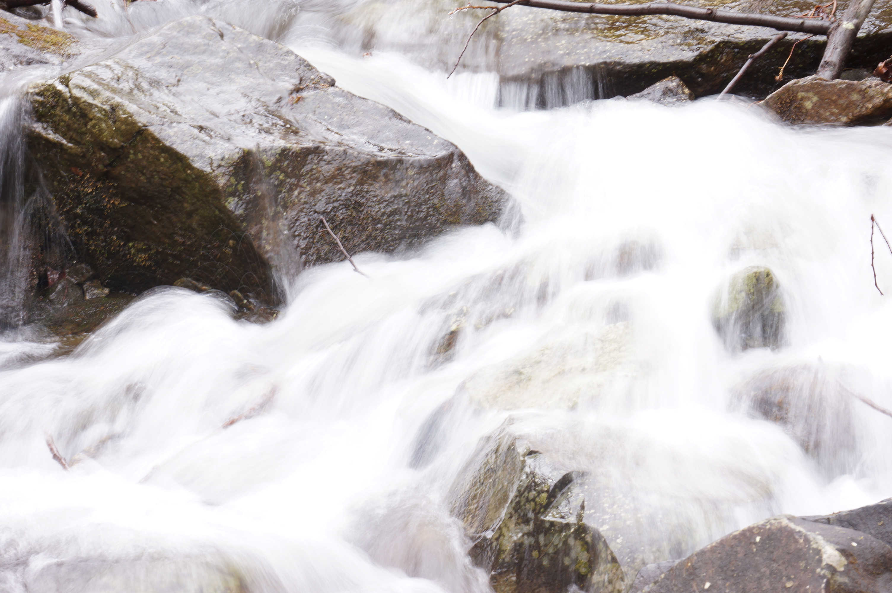 Free download high resolution image - free image free photo free stock image public domain picture -Buck Hollow/Buck Ridge Loop Trail in Shenandoah