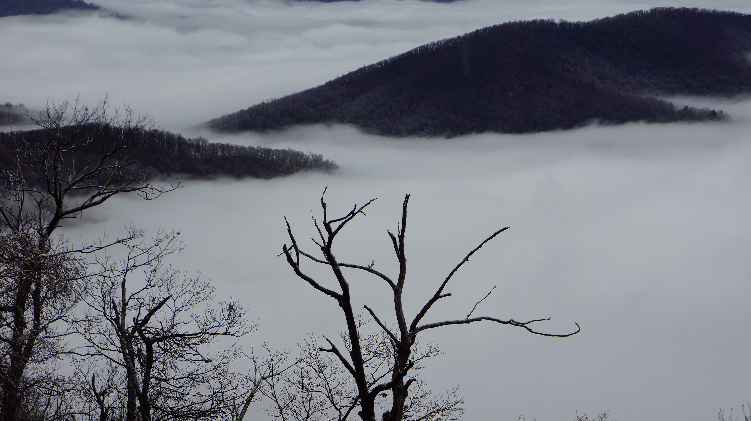 Free download high resolution image - free image free photo free stock image public domain picture -Marys Rock in the Shenandoah