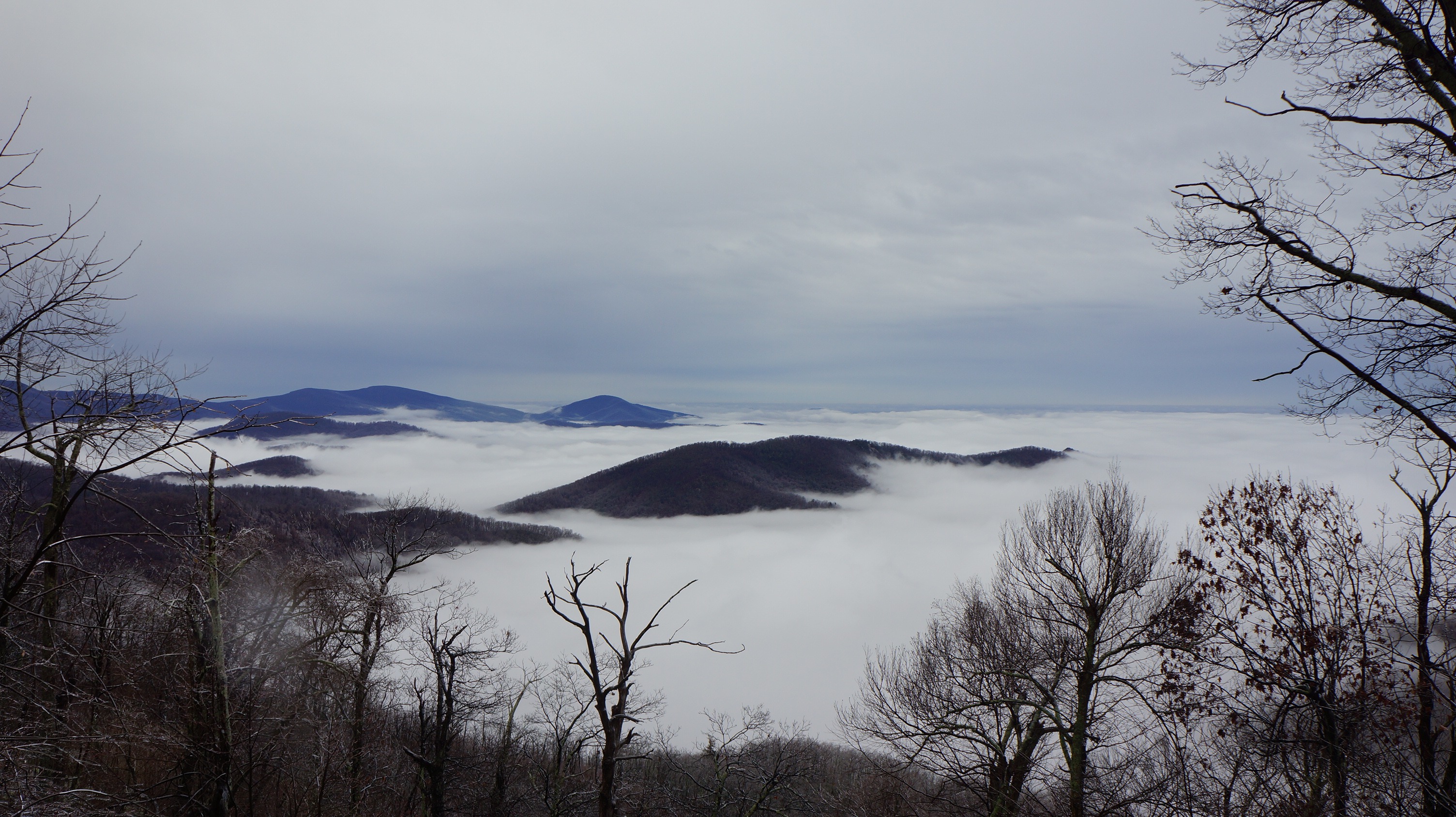 Free download high resolution image - free image free photo free stock image public domain picture -Mary's Rock Trail Shenandoah National Park