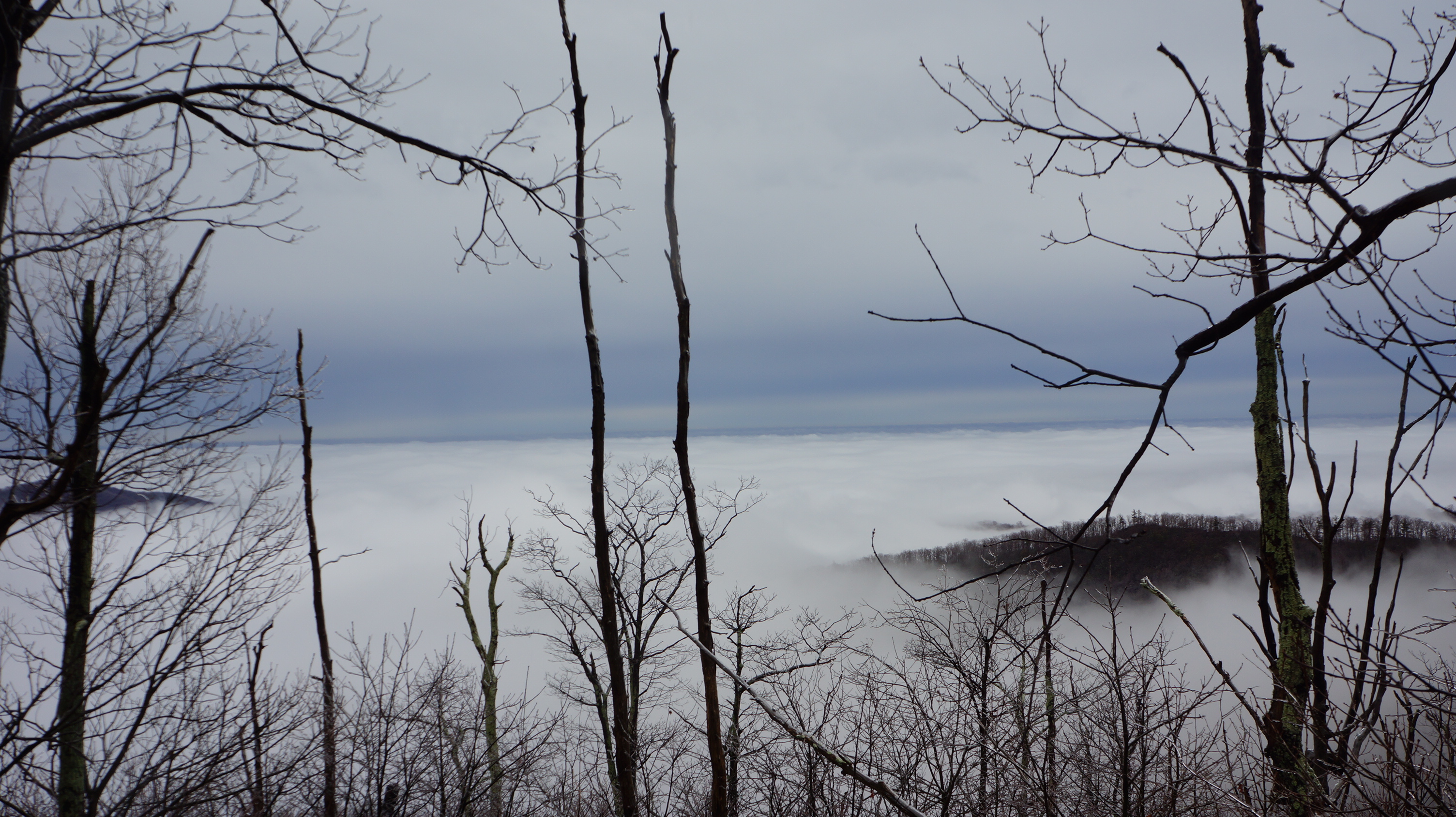 Free download high resolution image - free image free photo free stock image public domain picture -Mary's Rock, Shenandoah National Park