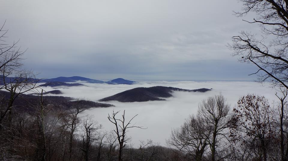 Free download high resolution image - free image free photo free stock image public domain picture  Mary's Rock Trail Shenandoah National Park