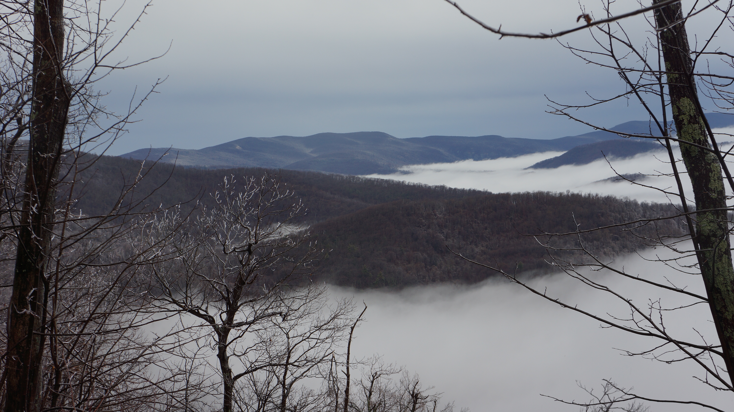 Free download high resolution image - free image free photo free stock image public domain picture -Marys Rock Trail - Shenandoah National Park