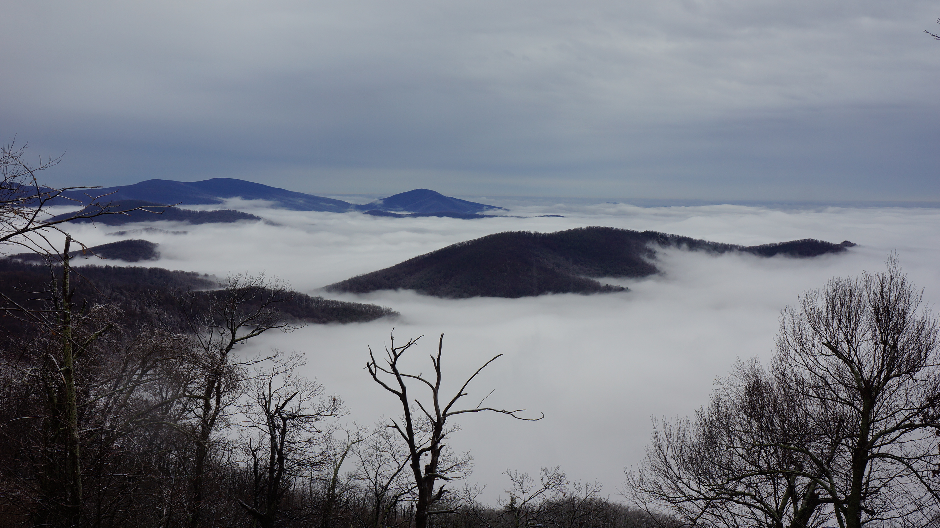 Free download high resolution image - free image free photo free stock image public domain picture -Mary's Rock Summit Trail - Shenandoah