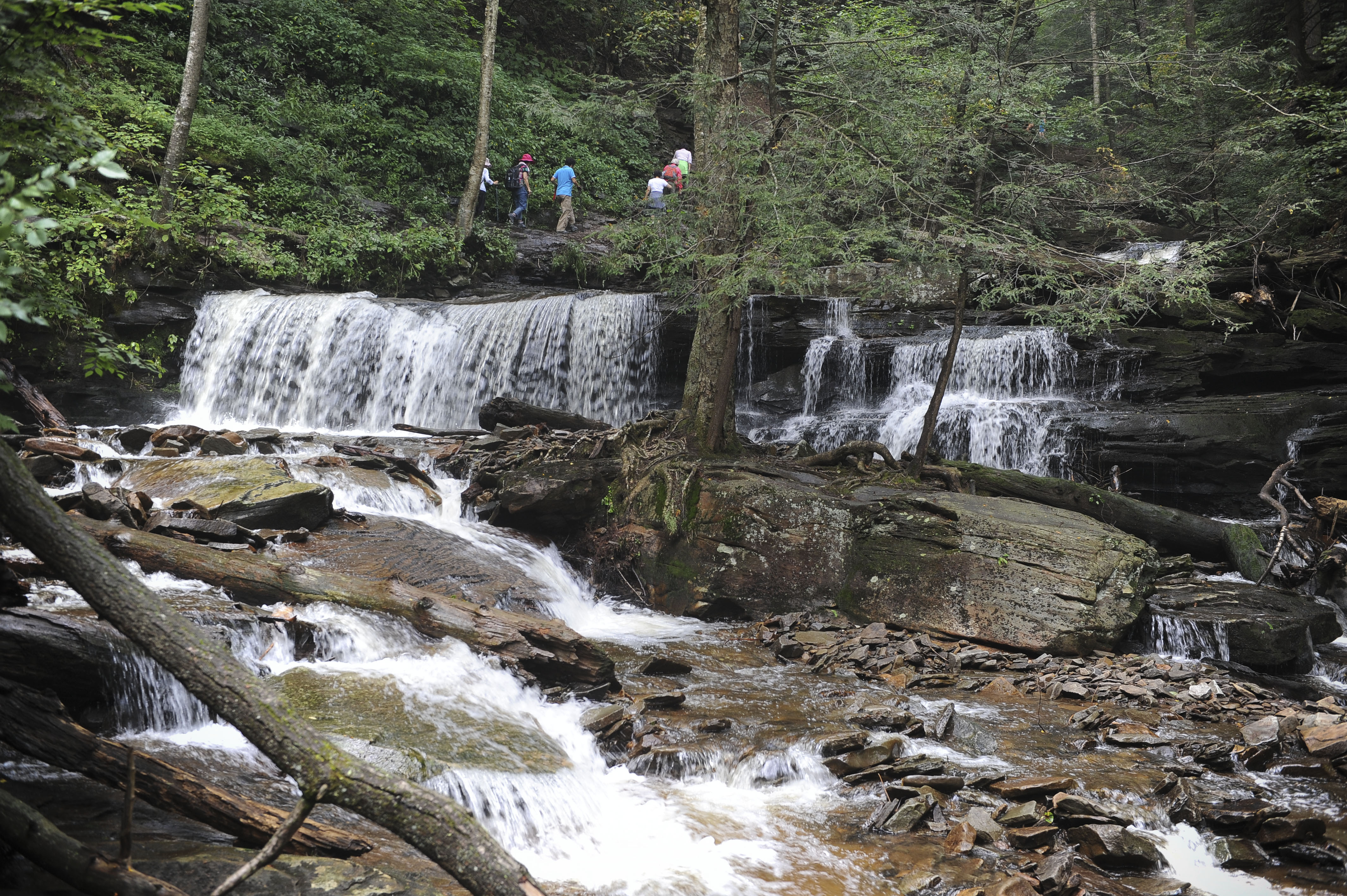 Free download high resolution image - free image free photo free stock image public domain picture -Waterfalls in Ricketts Glen State Park