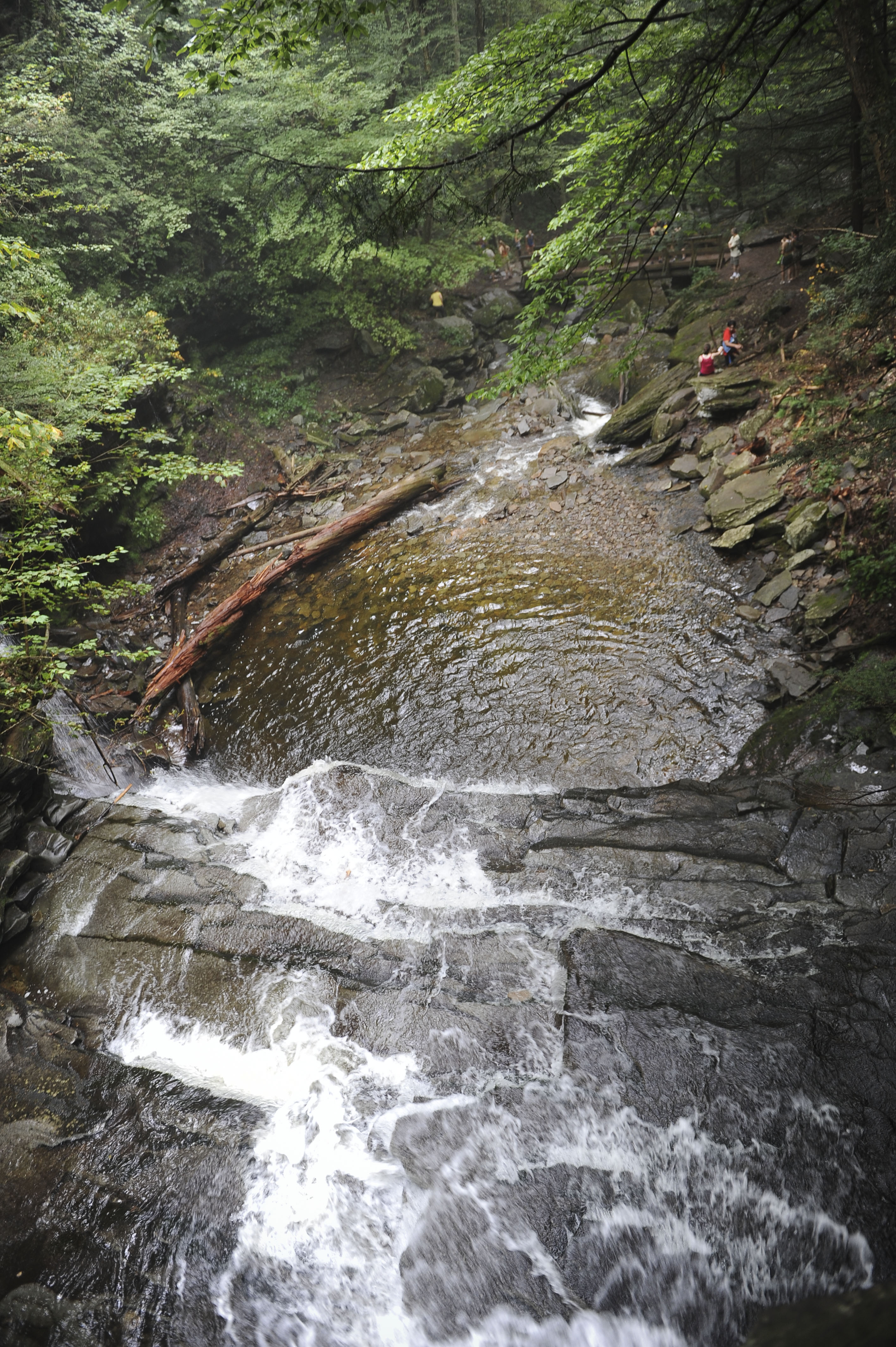 Free download high resolution image - free image free photo free stock image public domain picture -Ricketts Glen State Park