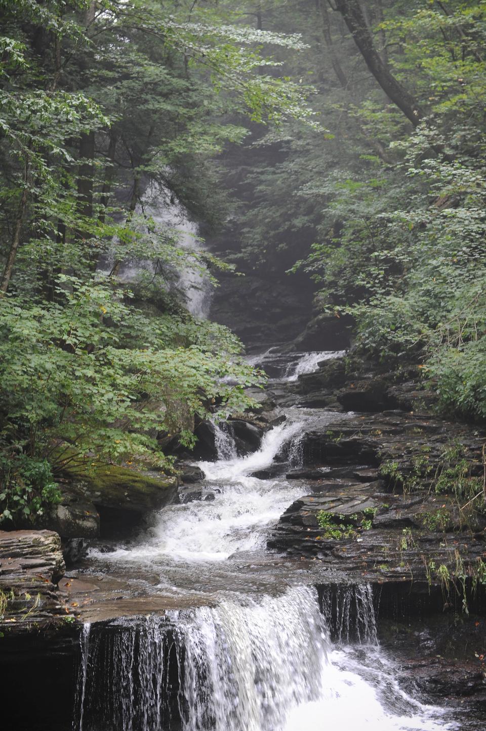 Free download high resolution image - free image free photo free stock image public domain picture  Ricketts Glen State Park