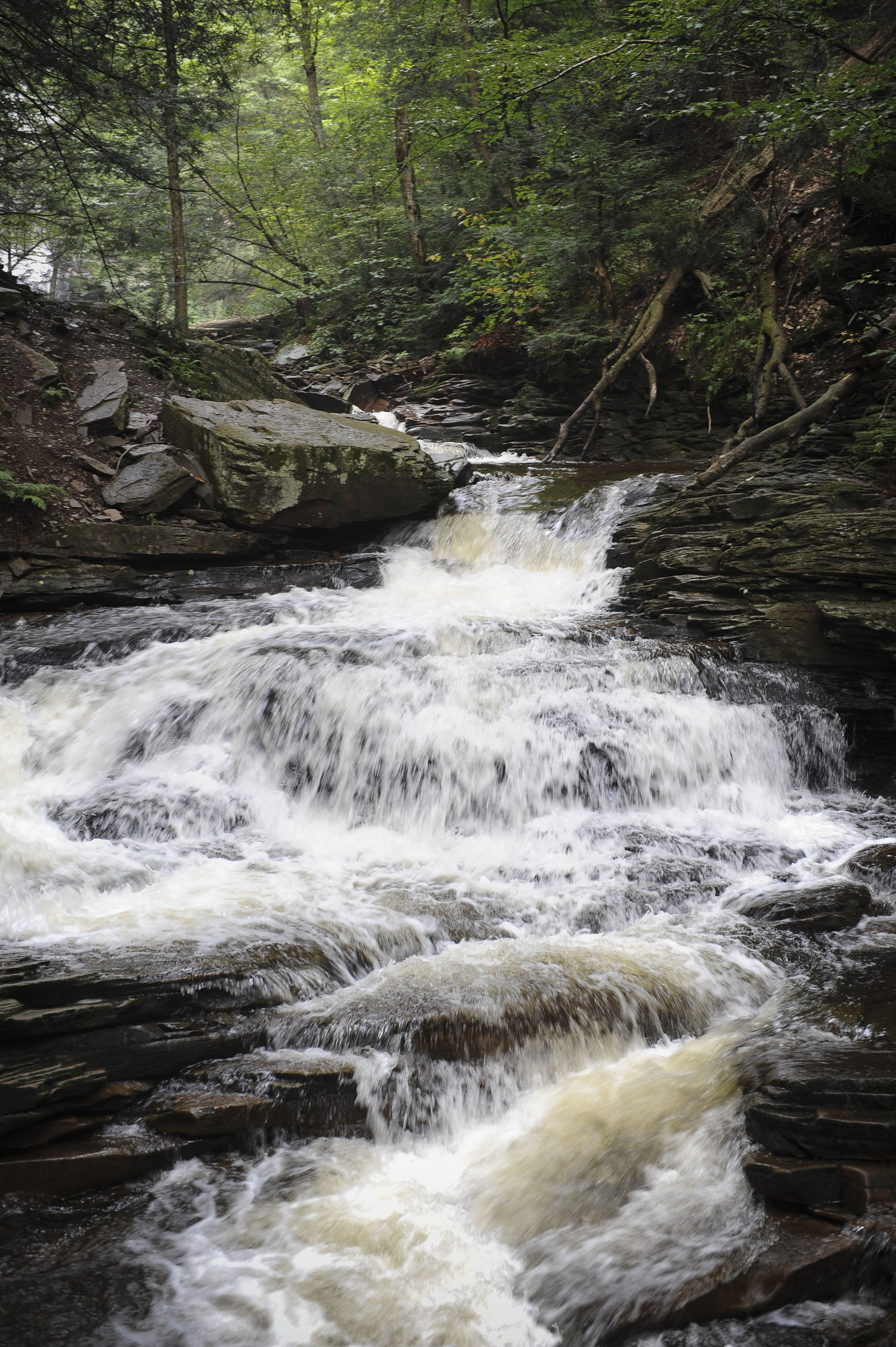 Free download high resolution image - free image free photo free stock image public domain picture -Waterfalls in Ricketts Glen State Park