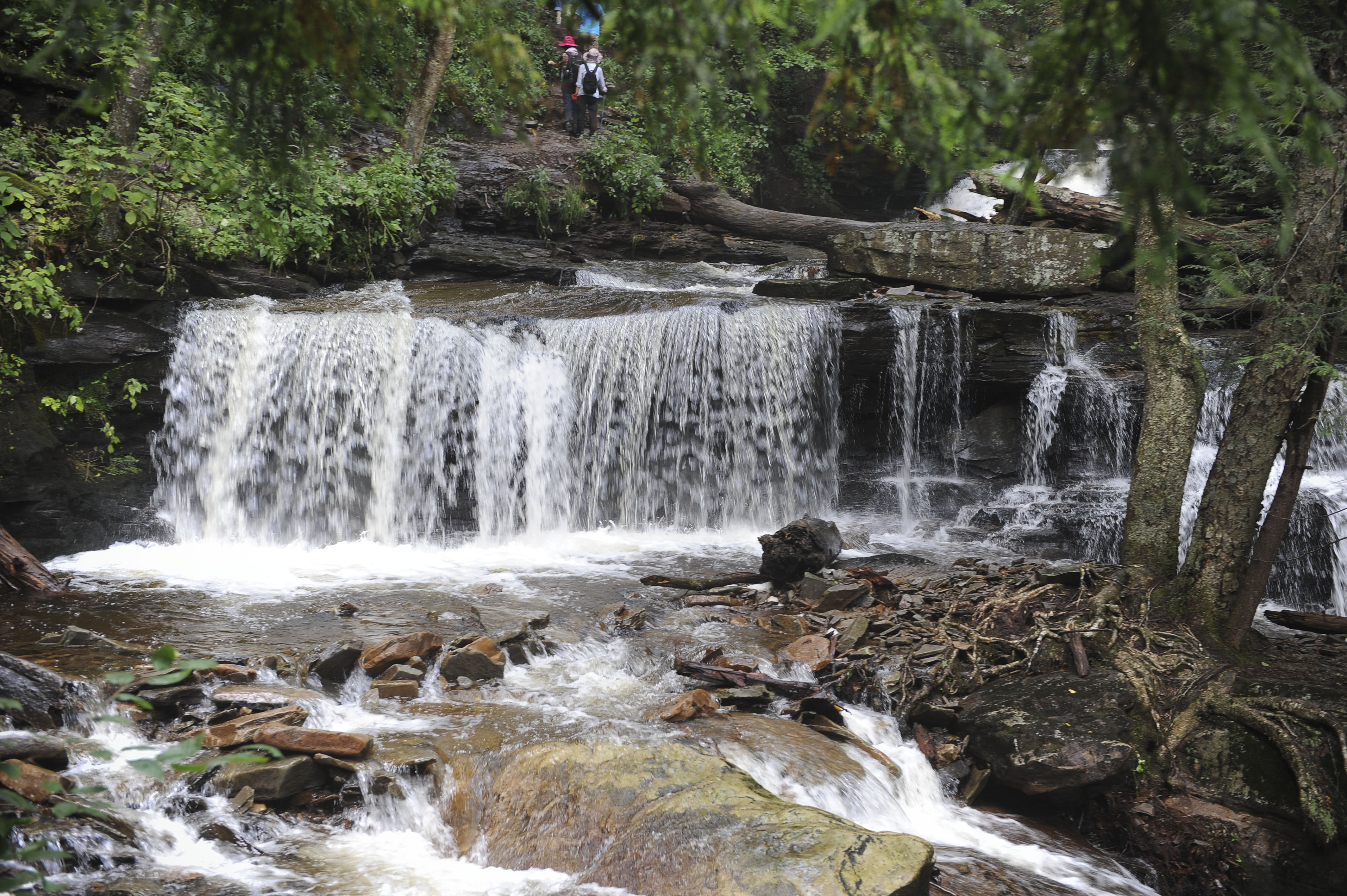 Free download high resolution image - free image free photo free stock image public domain picture -Ricketts Glen State Park