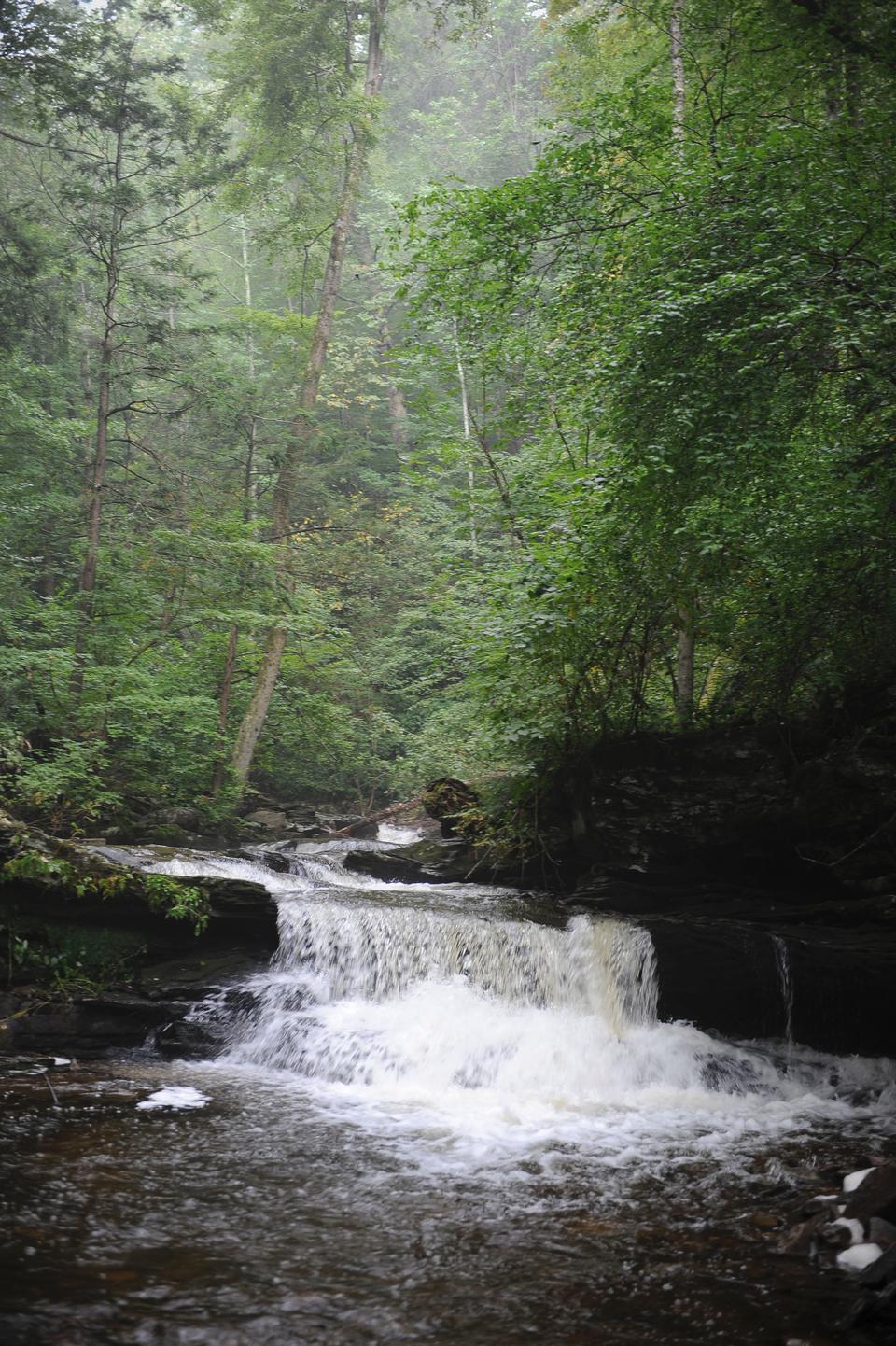 Free download high resolution image - free image free photo free stock image public domain picture  Ricketts Glen State Park