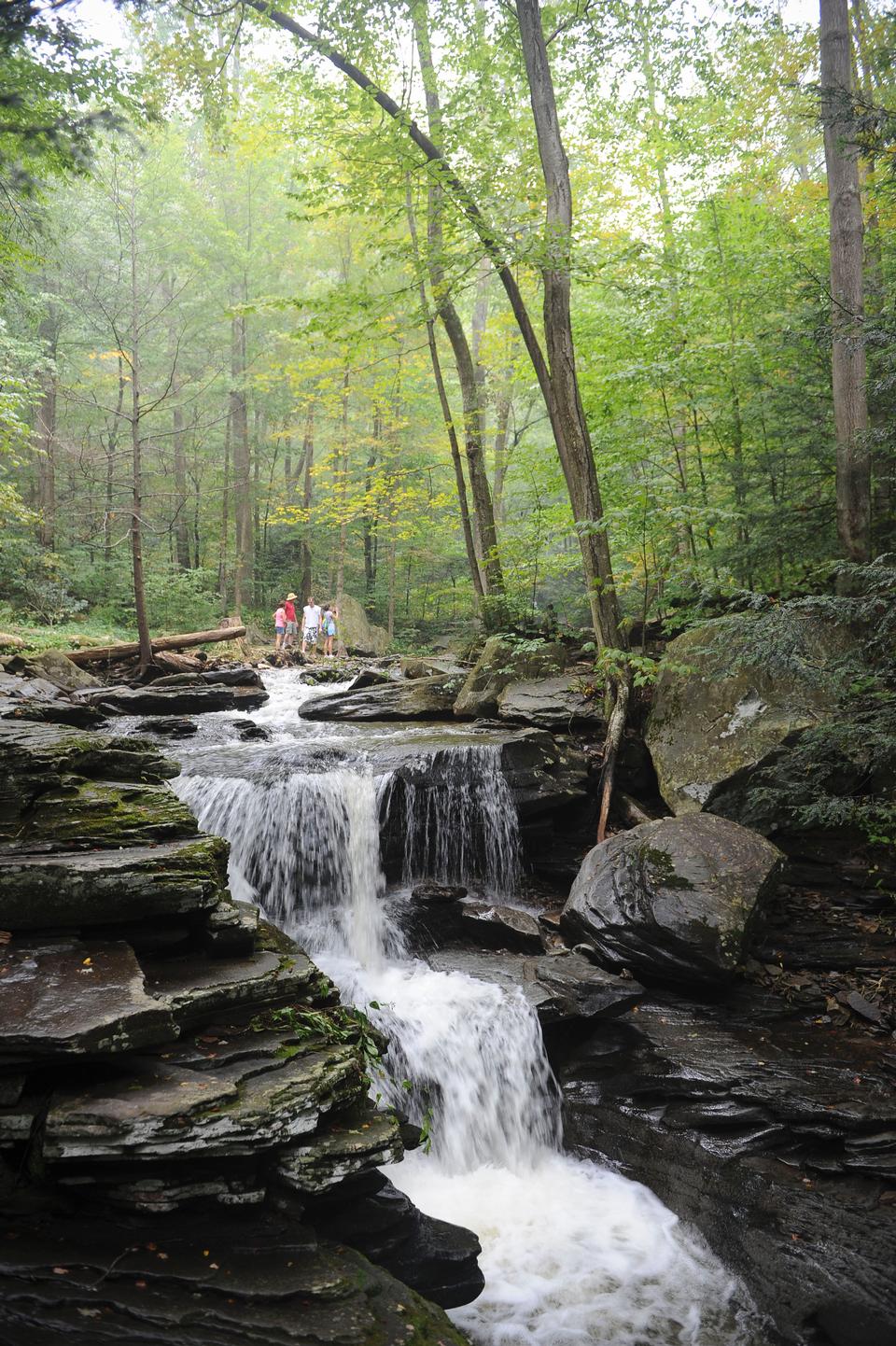 Free download high resolution image - free image free photo free stock image public domain picture  Ricketts Glen State Park