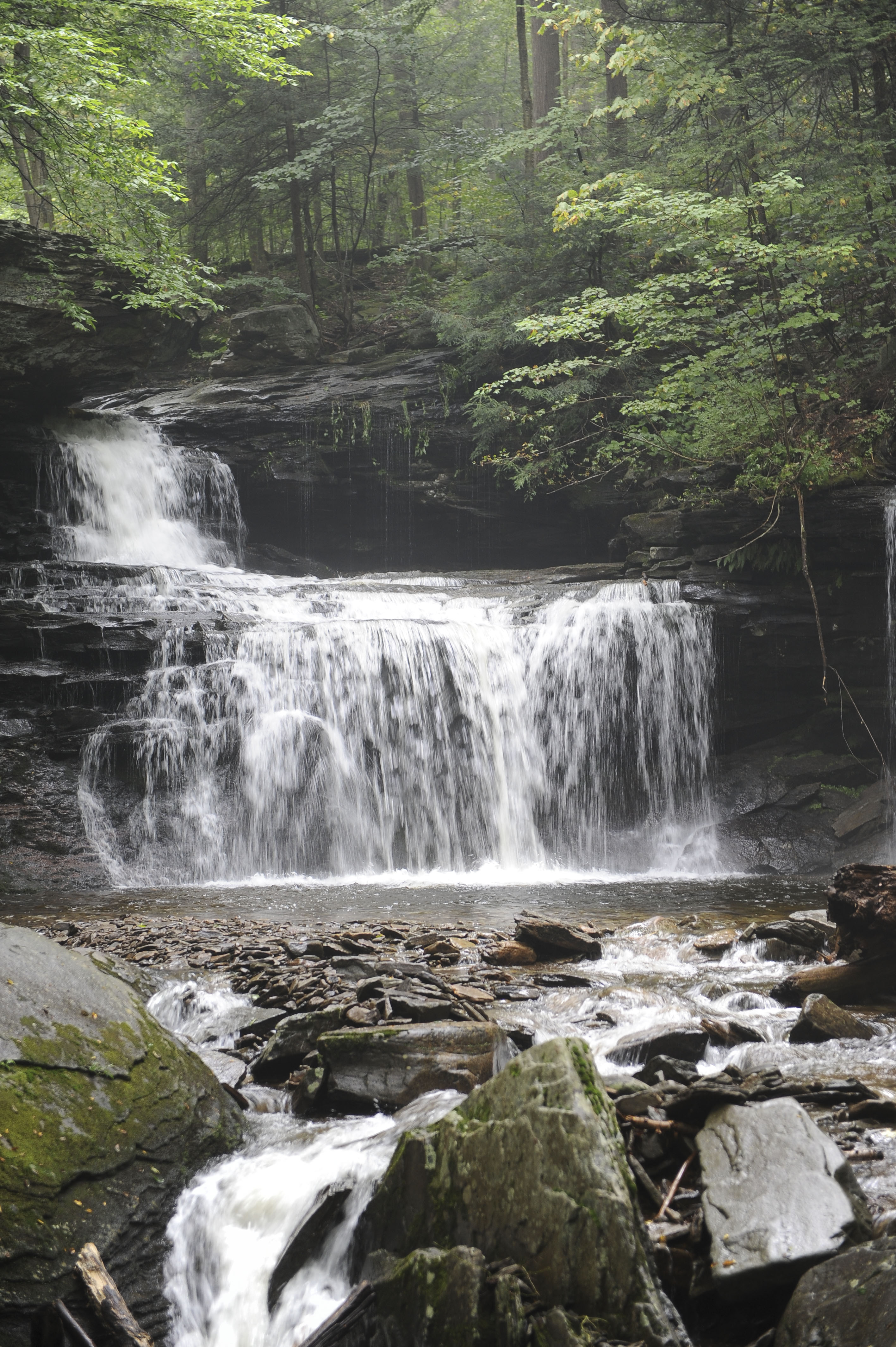 Free download high resolution image - free image free photo free stock image public domain picture -Waterfalls in Ricketts Glen State Park