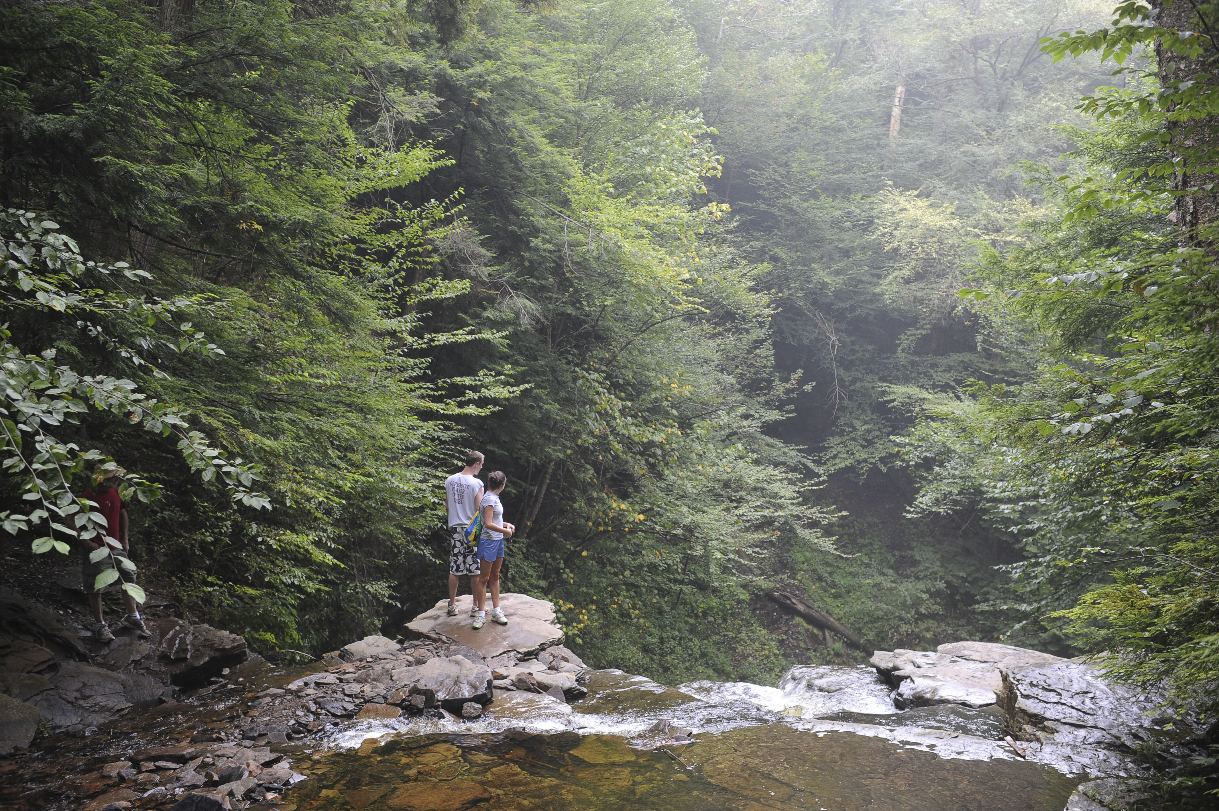 Free download high resolution image - free image free photo free stock image public domain picture -Ricketts Glen State Park