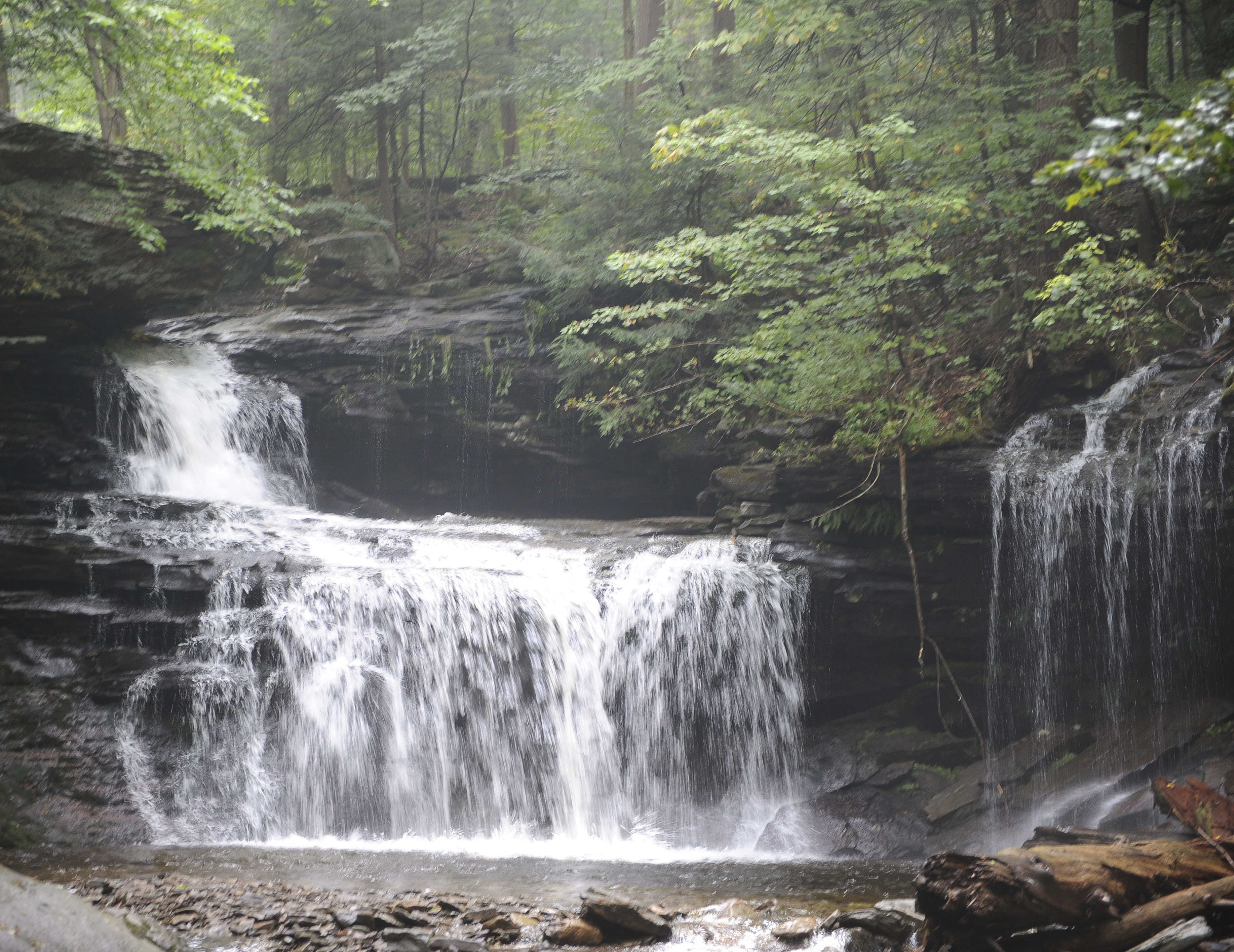 Free download high resolution image - free image free photo free stock image public domain picture -Waterfalls in Ricketts Glen State Park