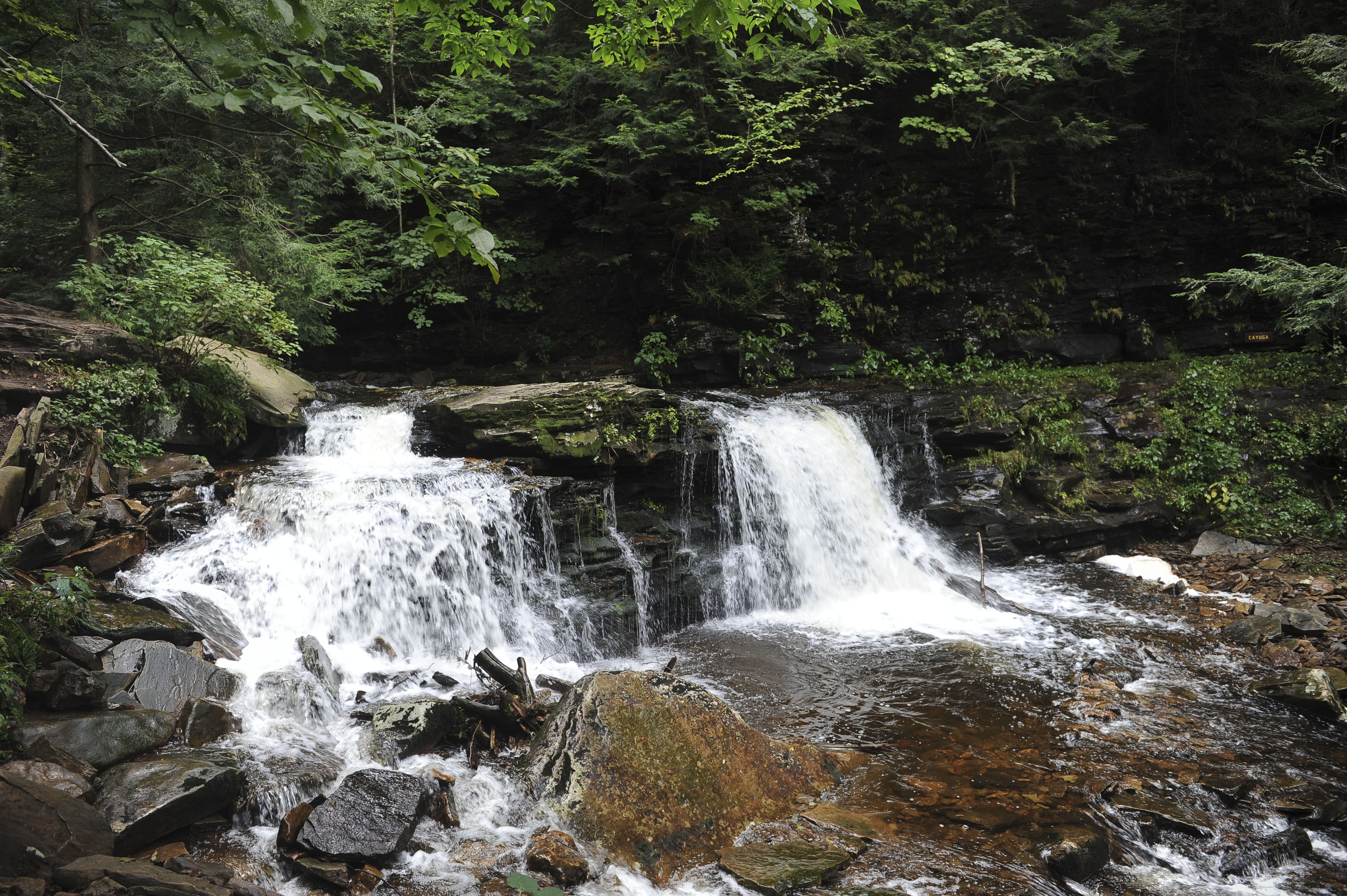 Free download high resolution image - free image free photo free stock image public domain picture -Waterfalls in Ricketts Glen State Park