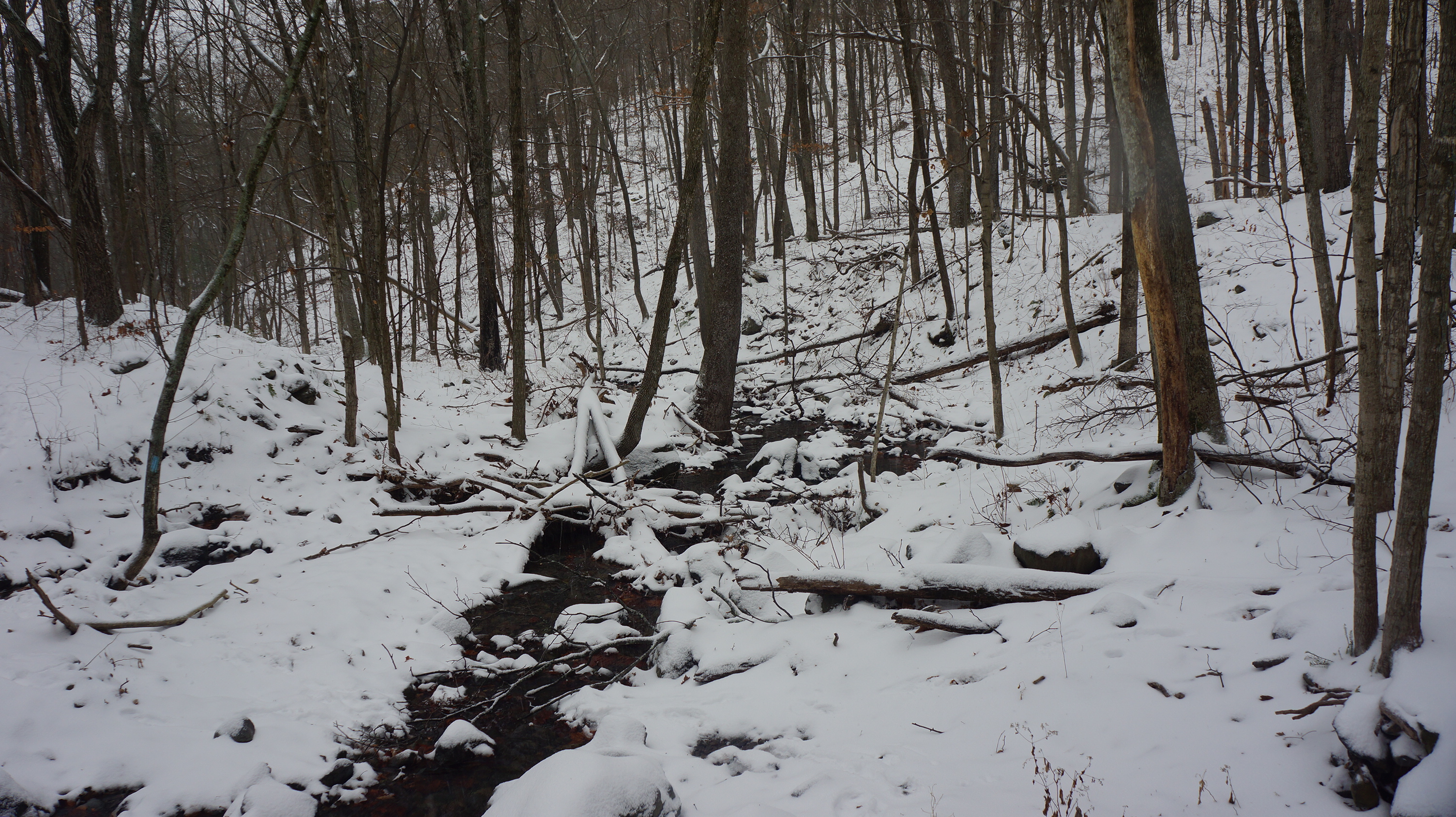 Free download high resolution image - free image free photo free stock image public domain picture -Appalachian Trail Virginia