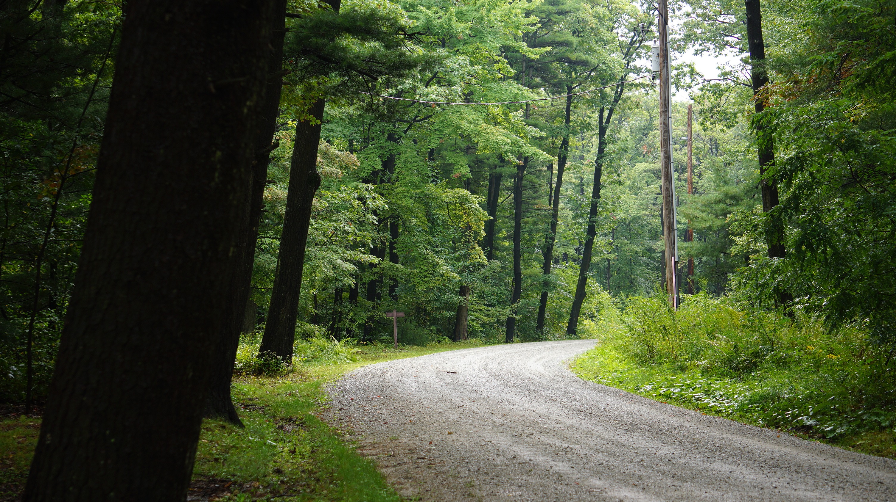 Free download high resolution image - free image free photo free stock image public domain picture -Laurel Summit State Park