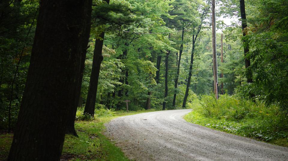 Free download high resolution image - free image free photo free stock image public domain picture  Laurel Summit State Park