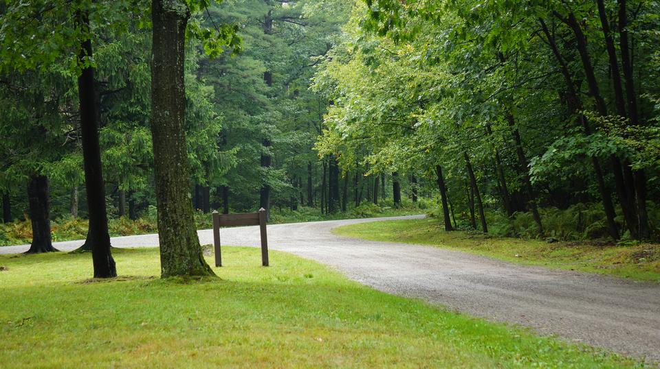 Free download high resolution image - free image free photo free stock image public domain picture  Laurel Summit State Park