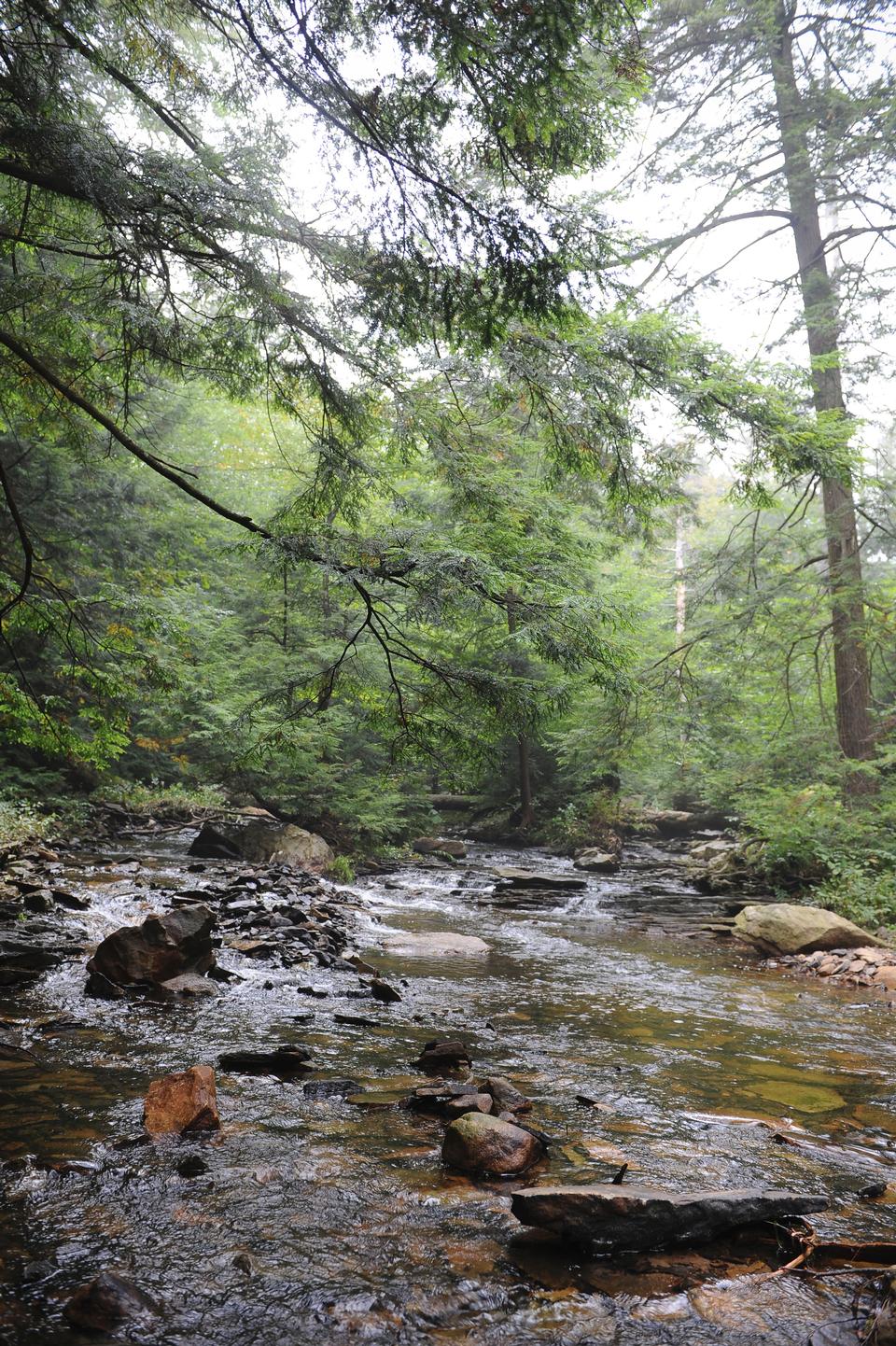 Free download high resolution image - free image free photo free stock image public domain picture  Ricketts Glen State Park - Benton, PA