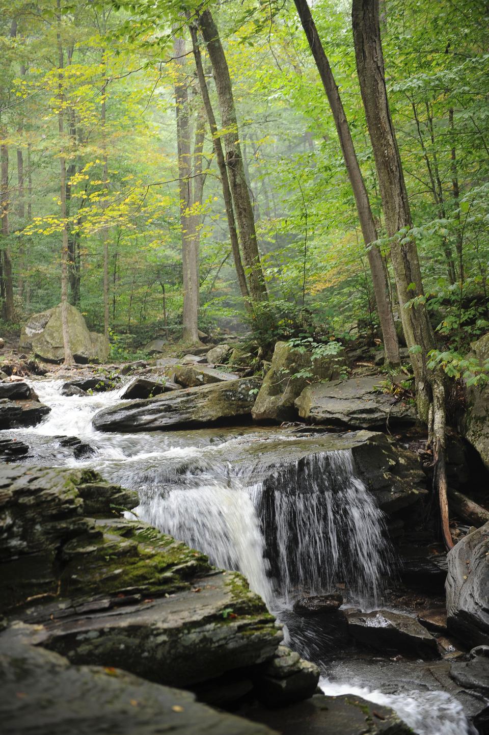 Free download high resolution image - free image free photo free stock image public domain picture  Ricketts Glen State Park