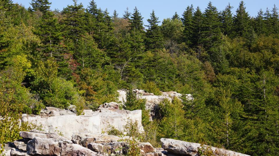 Free download high resolution image - free image free photo free stock image public domain picture  Dolly Sods Rohrbaugh Plains