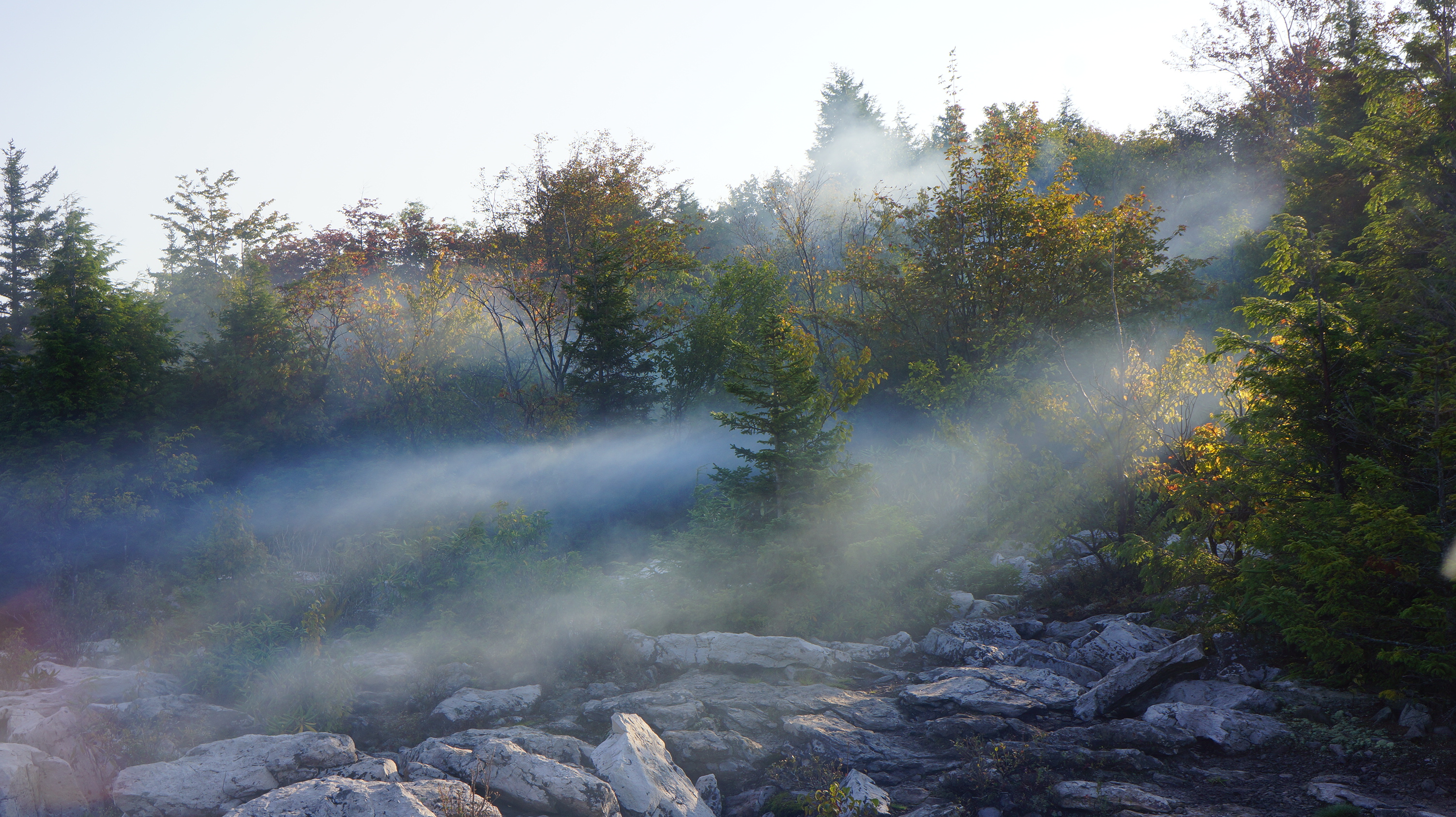 Free download high resolution image - free image free photo free stock image public domain picture -Dolly Sods Rohrbaugh Plains