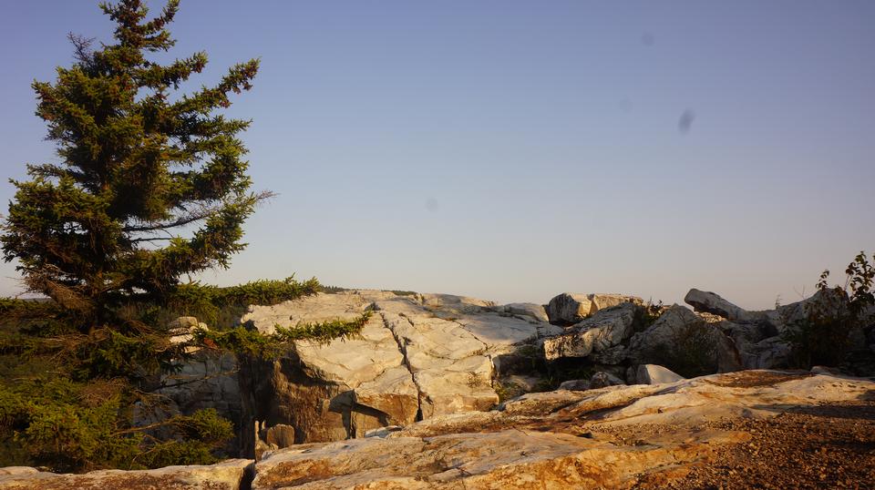 Free download high resolution image - free image free photo free stock image public domain picture  Dolly Sods Rohrbaugh Plains