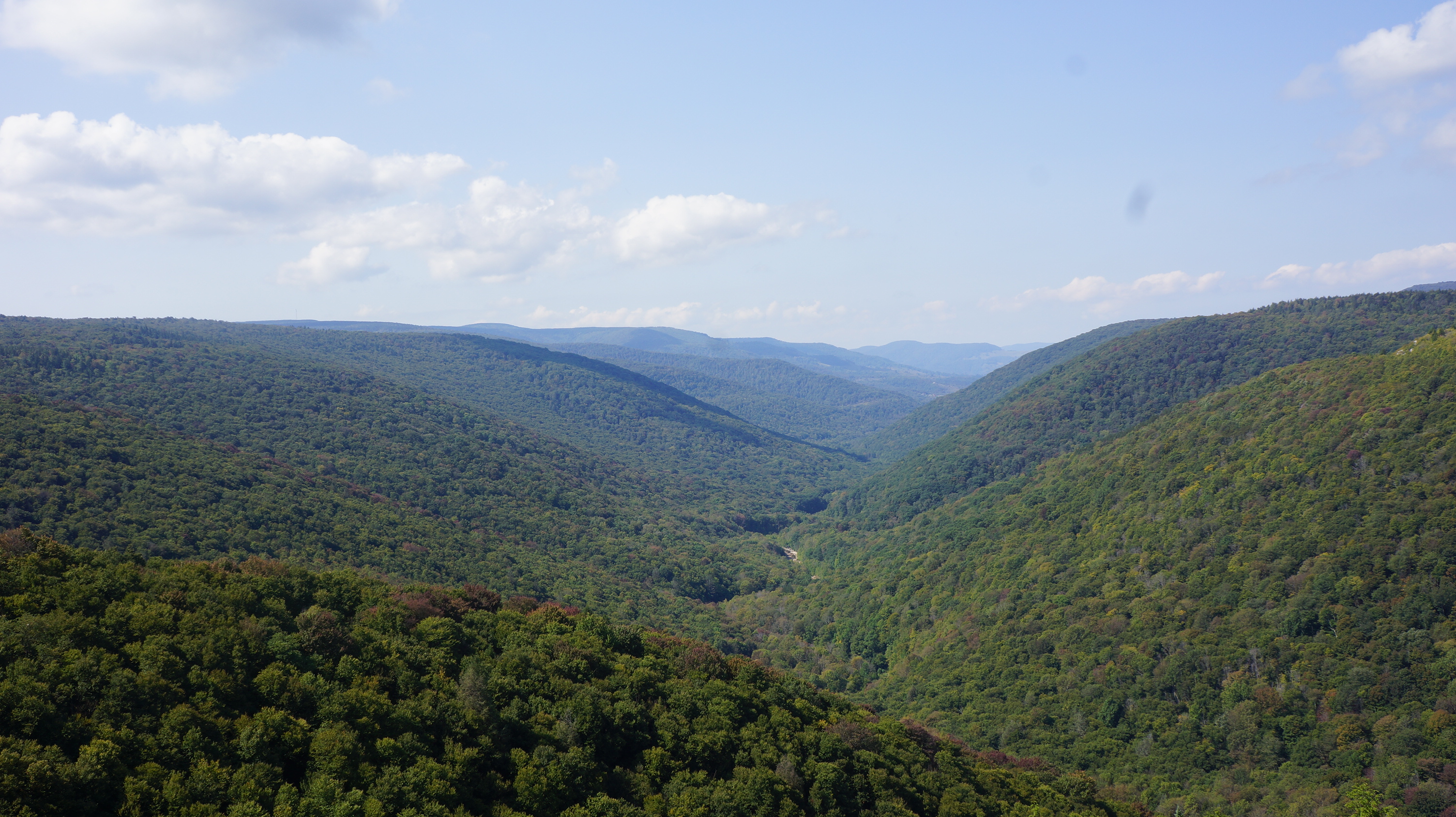 Free download high resolution image - free image free photo free stock image public domain picture -Dolly Sods Rohrbaugh Plains