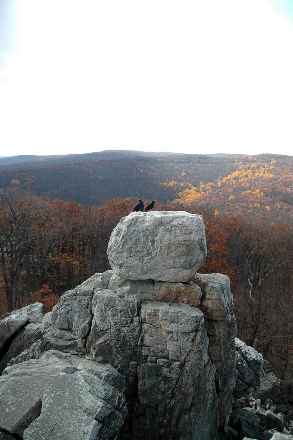 Free download high resolution image - free image free photo free stock image public domain picture  Wolf Rock Catoctin Mountain