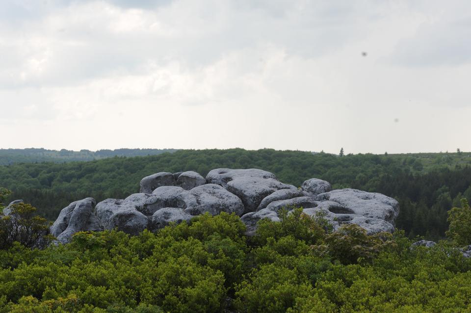 Free download high resolution image - free image free photo free stock image public domain picture  Dolly Sods North Hiking - Bear Rocks