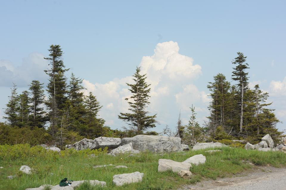 Free download high resolution image - free image free photo free stock image public domain picture  Dolly Sods North: Bear Rocks Trail Loop