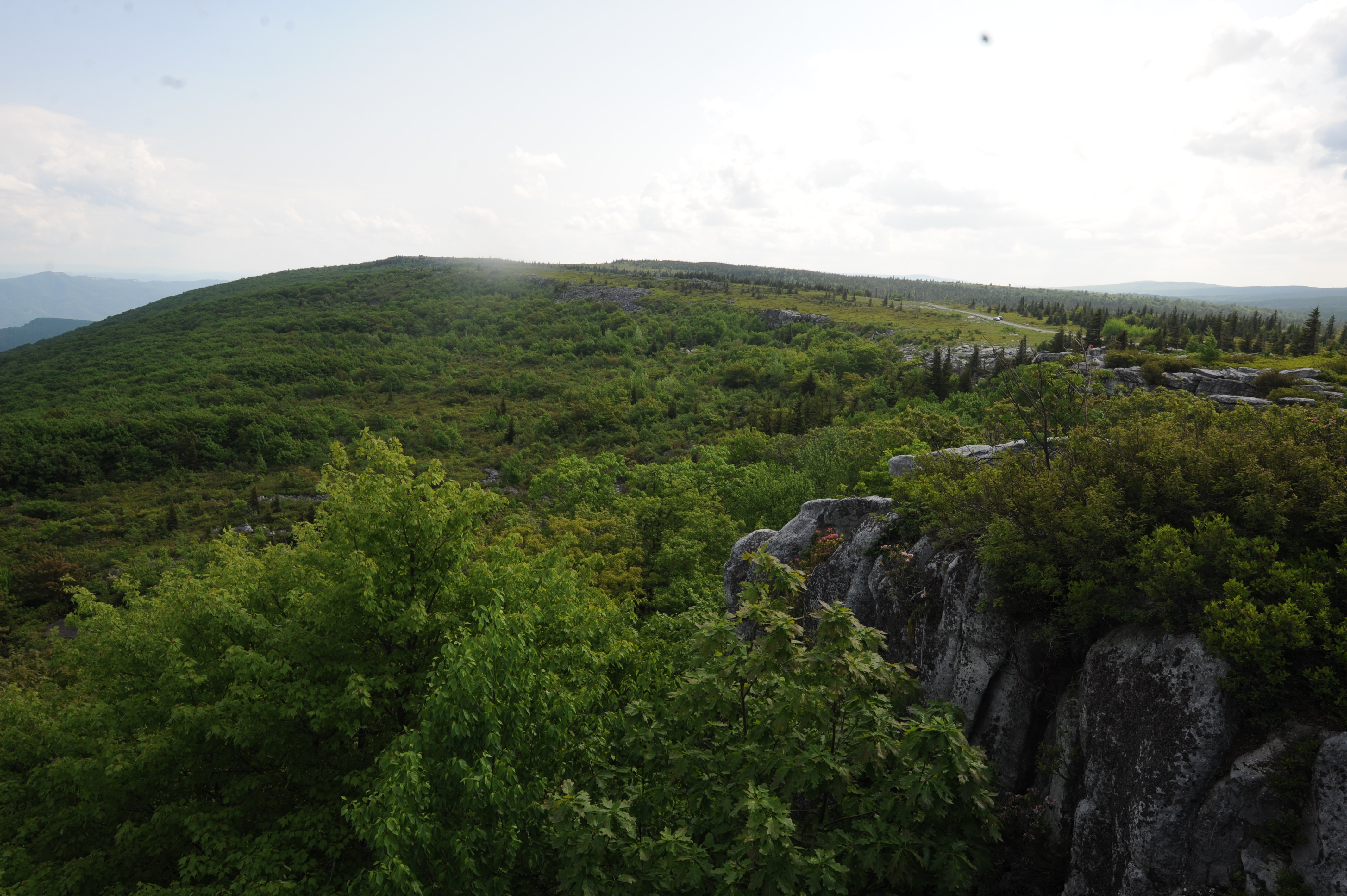 Free download high resolution image - free image free photo free stock image public domain picture -Dolly Sods and Bear Rocks, WV