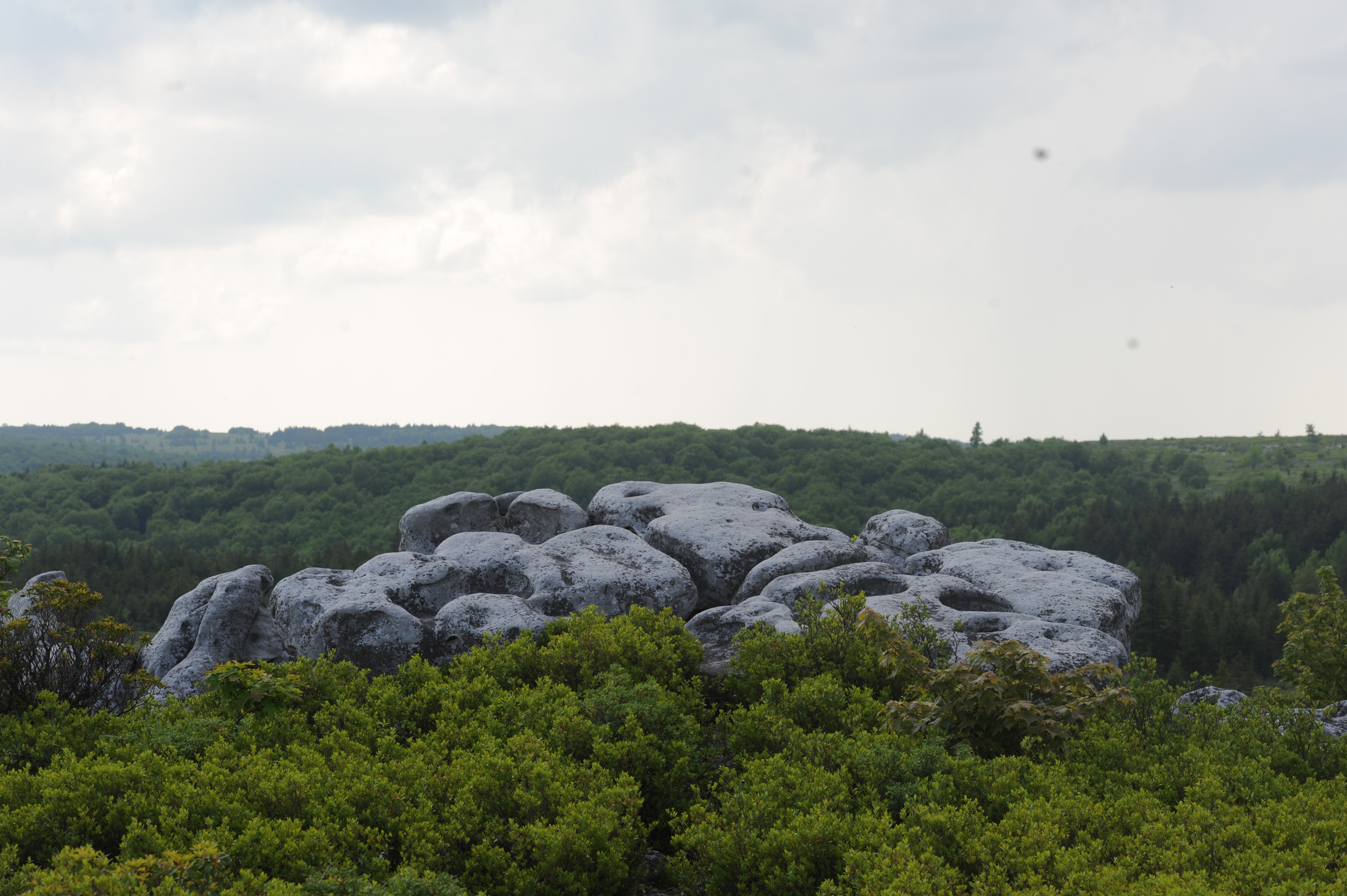 Free download high resolution image - free image free photo free stock image public domain picture -Dolly Sods North Hiking - Bear Rocks