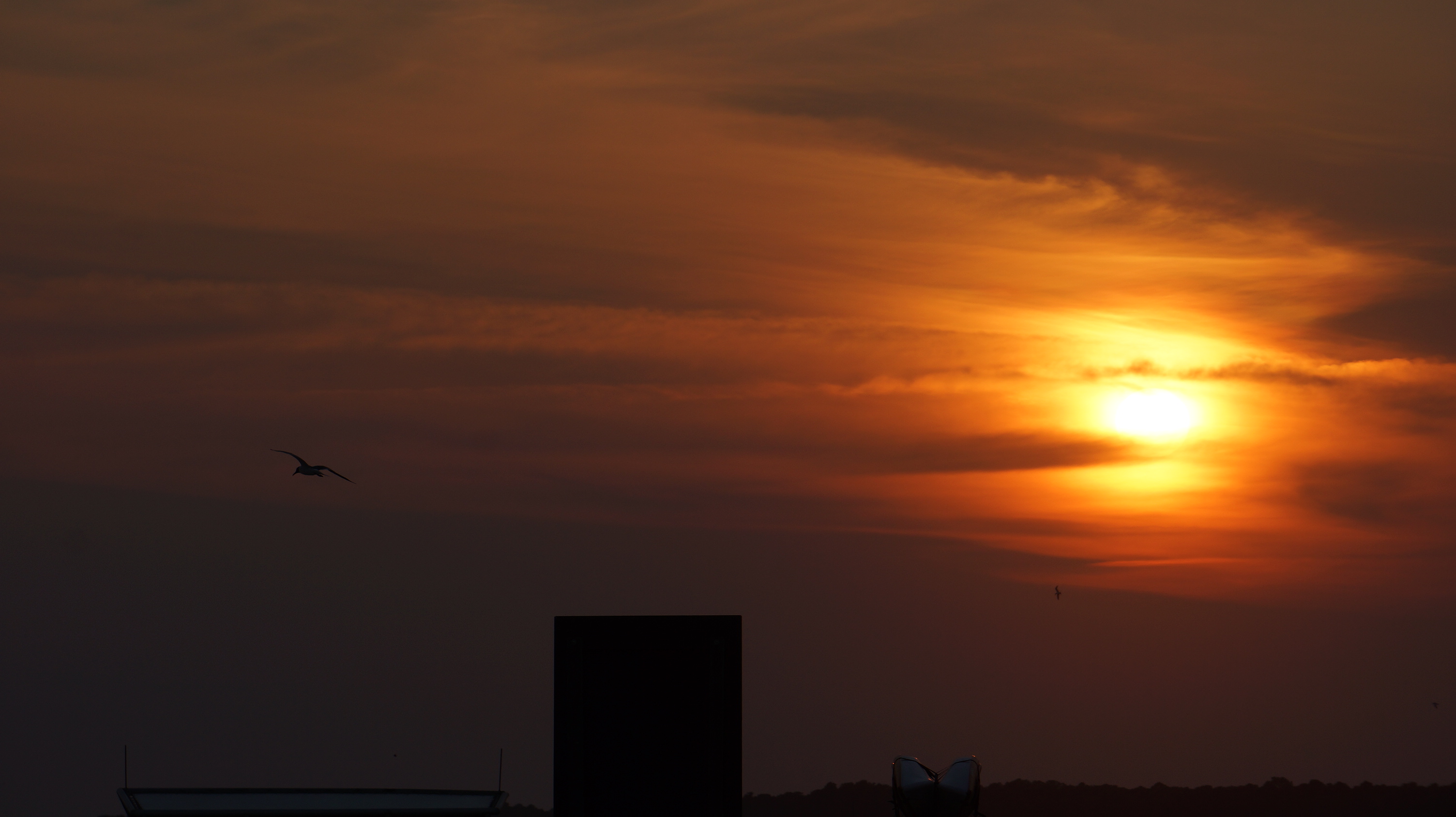 Free download high resolution image - free image free photo free stock image public domain picture -Sunset Chincoteague Island