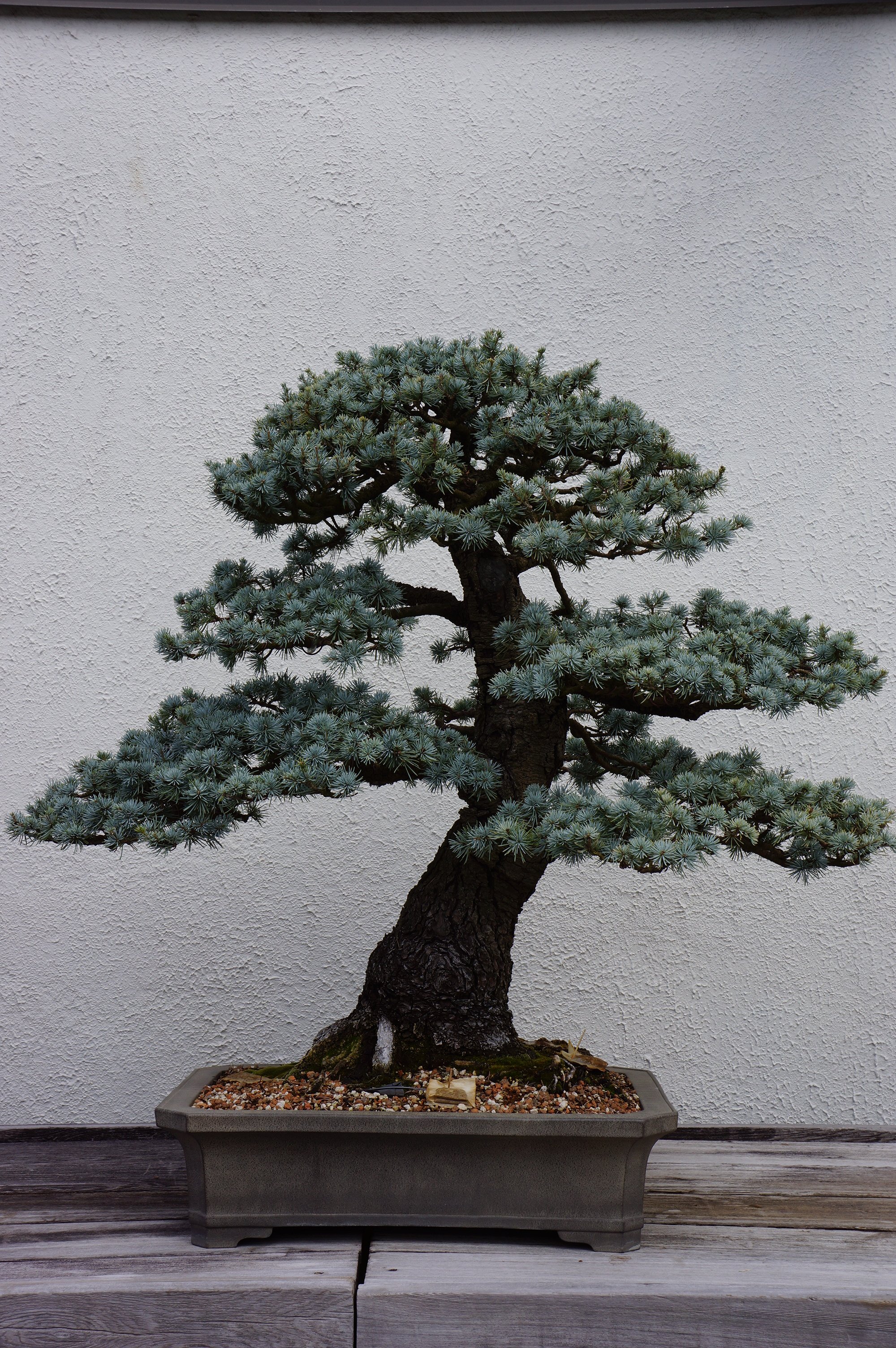 Free download high resolution image - free image free photo free stock image public domain picture -Pot Planting