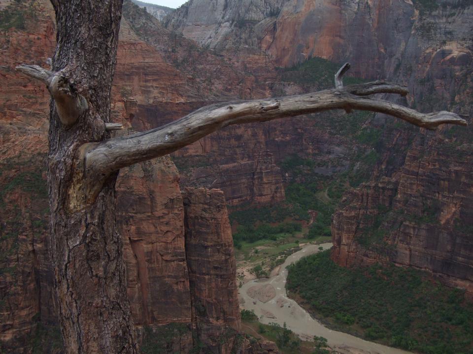 Free download high resolution image - free image free photo free stock image public domain picture  Giant Canyon, Arizona