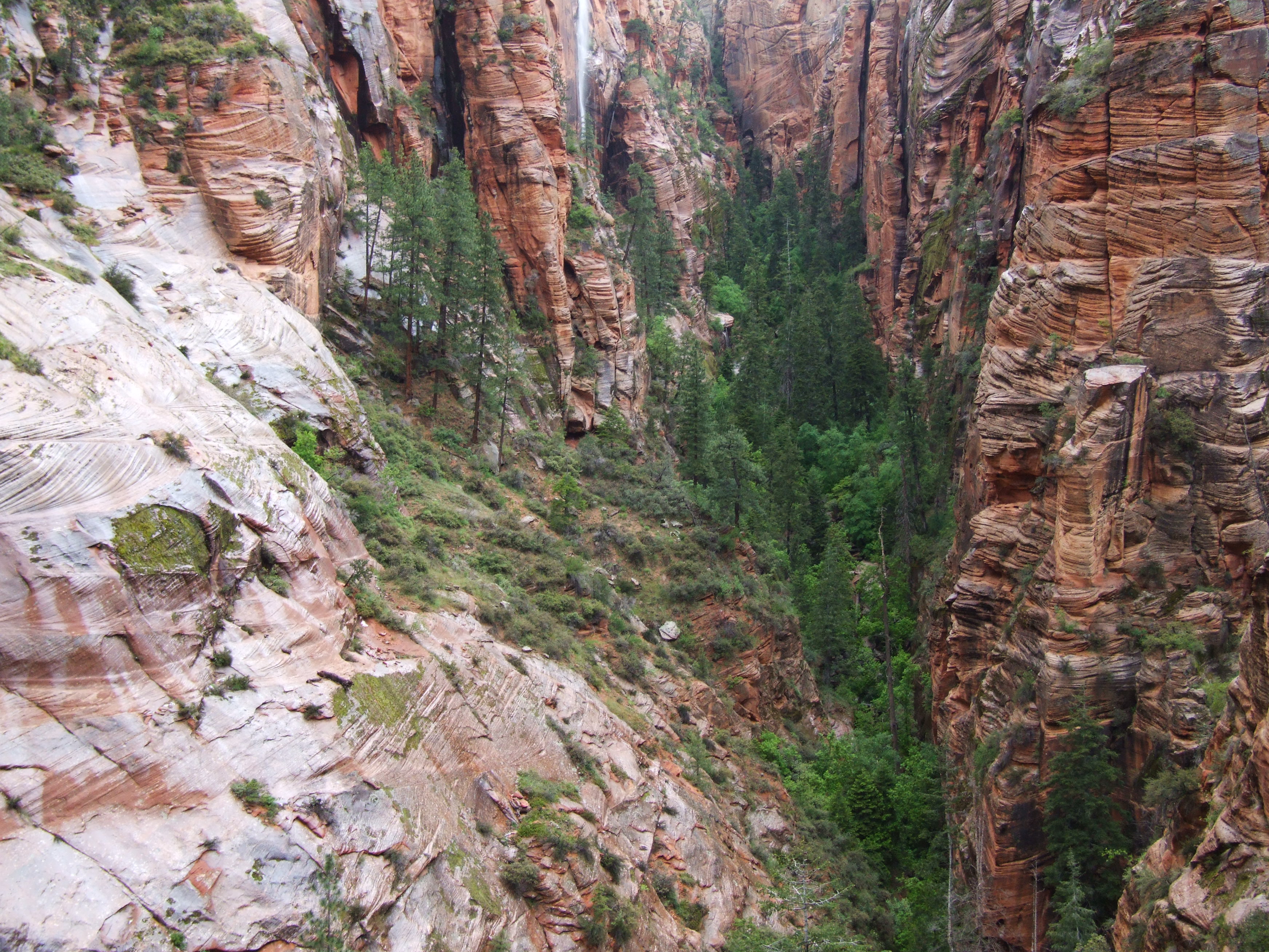 Free download high resolution image - free image free photo free stock image public domain picture -Giant Canyon, Arizona