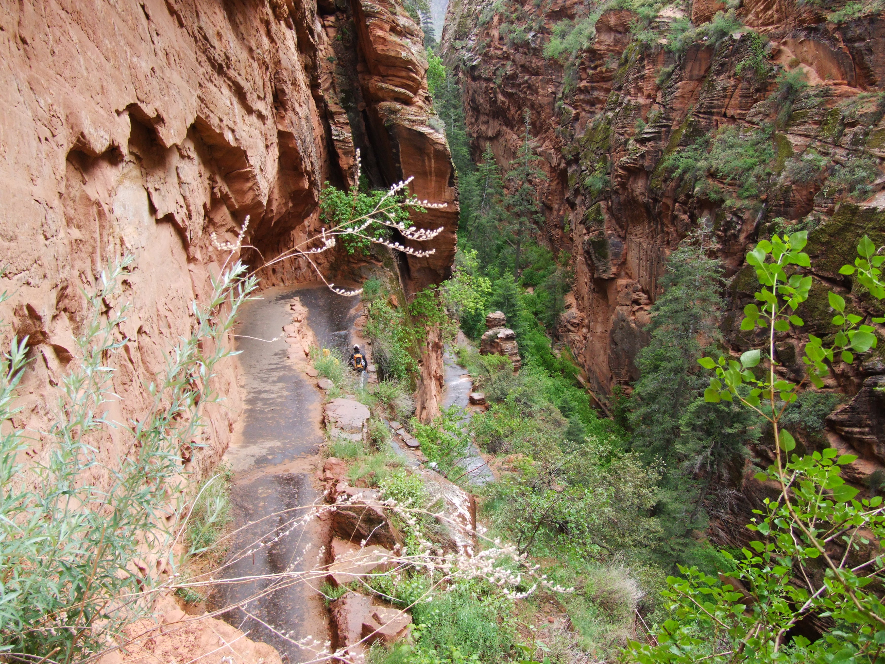 Free download high resolution image - free image free photo free stock image public domain picture -Giant Canyon, Arizona