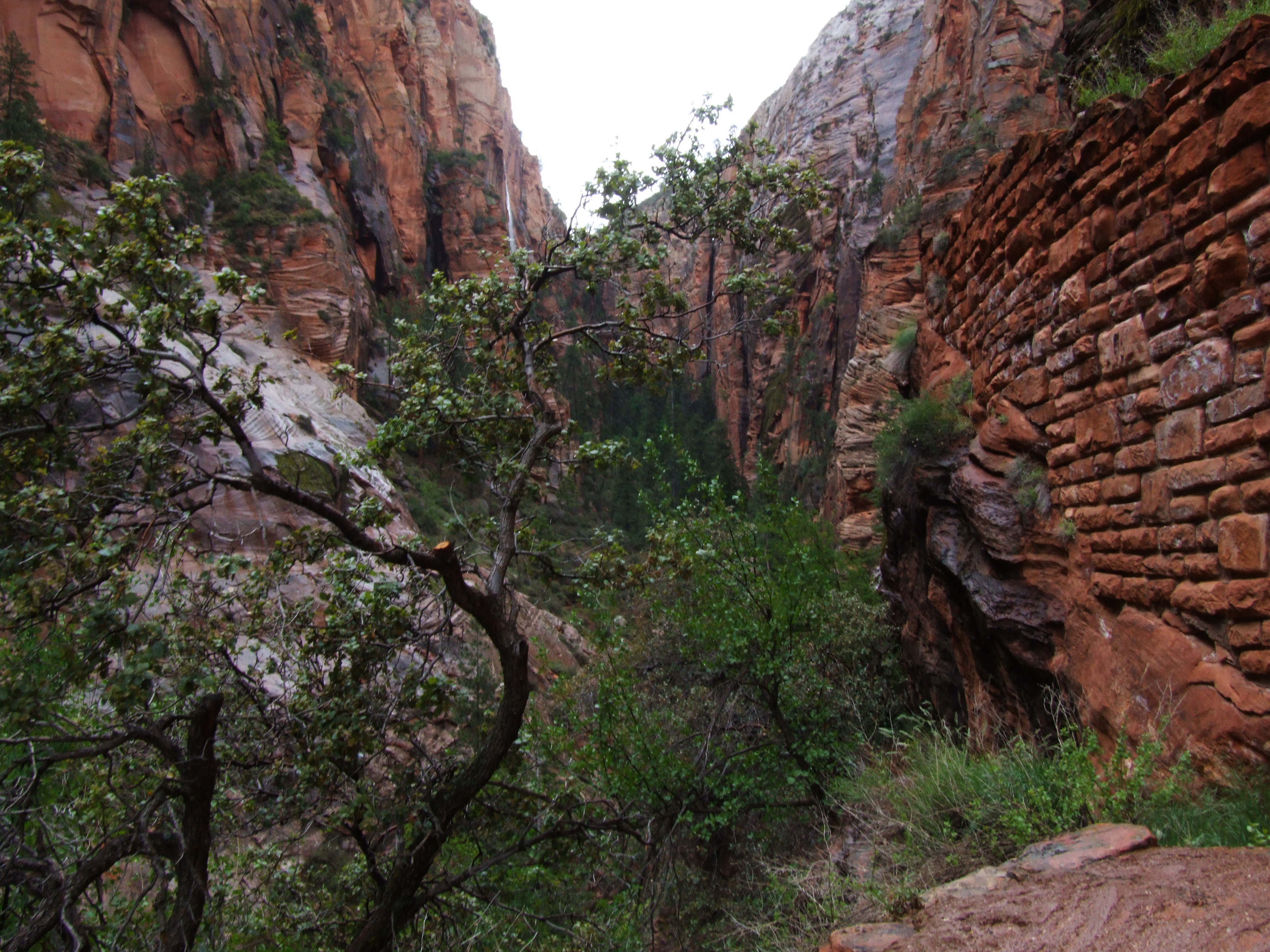 Free download high resolution image - free image free photo free stock image public domain picture -Giant Canyon, Arizona